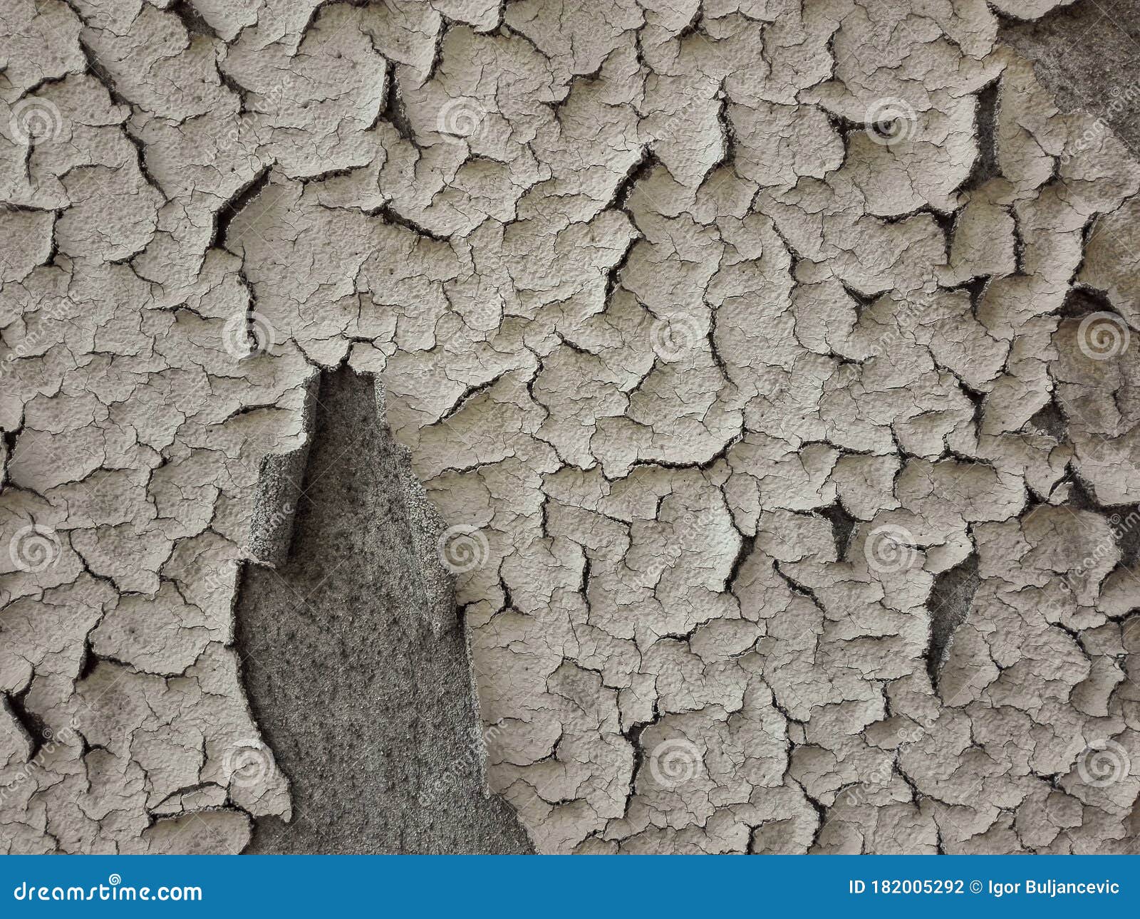 Paint Peel or Blister Wall. Texture of Peeling Painted Wall. Stock