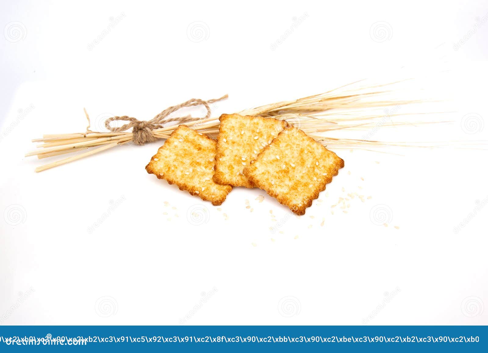 A Cracker or Cookie with Sesame Seeds on a White Background Stock Photo