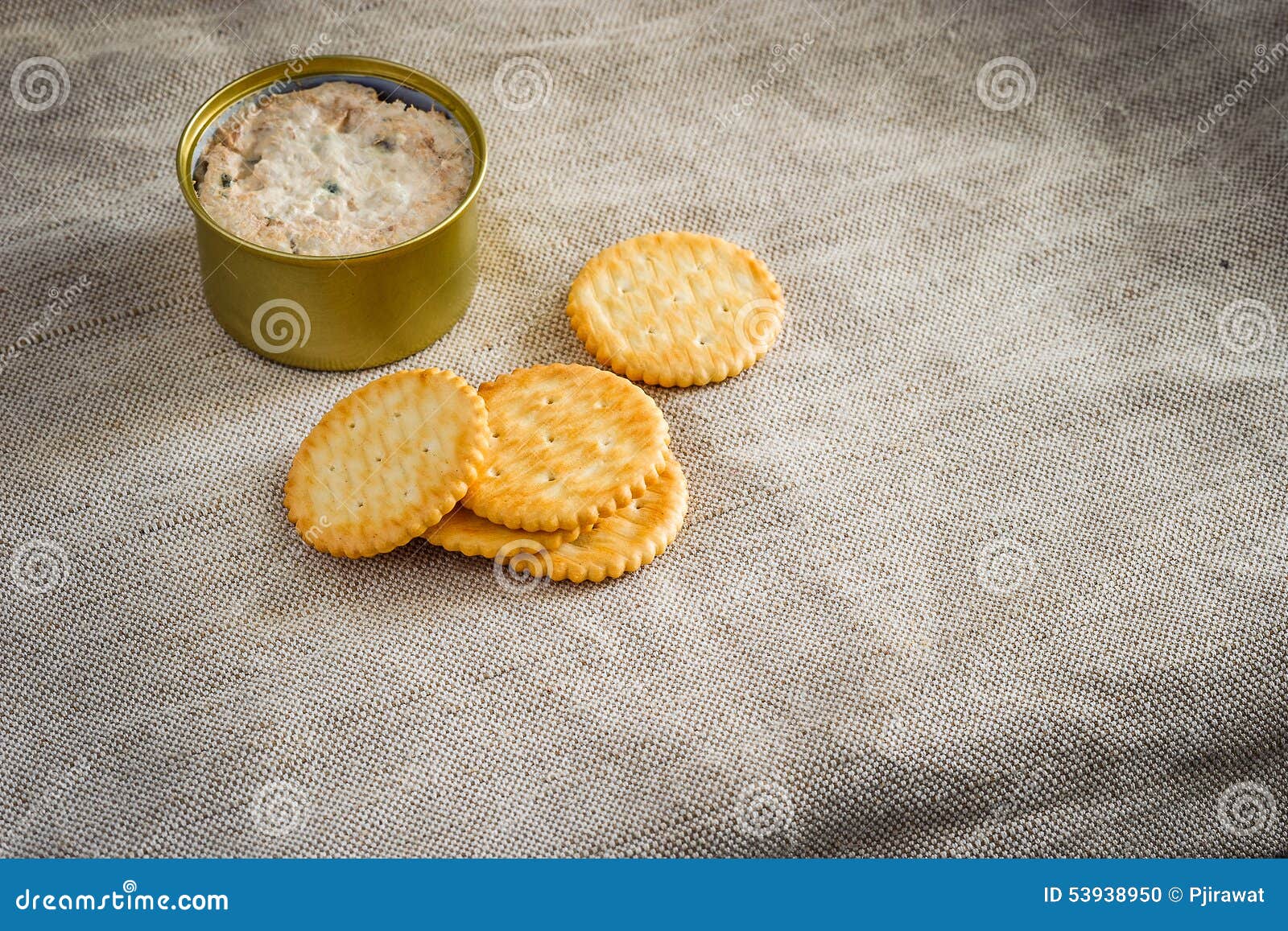 Cracker with tuna spread stock photo. Image of slice 53938950