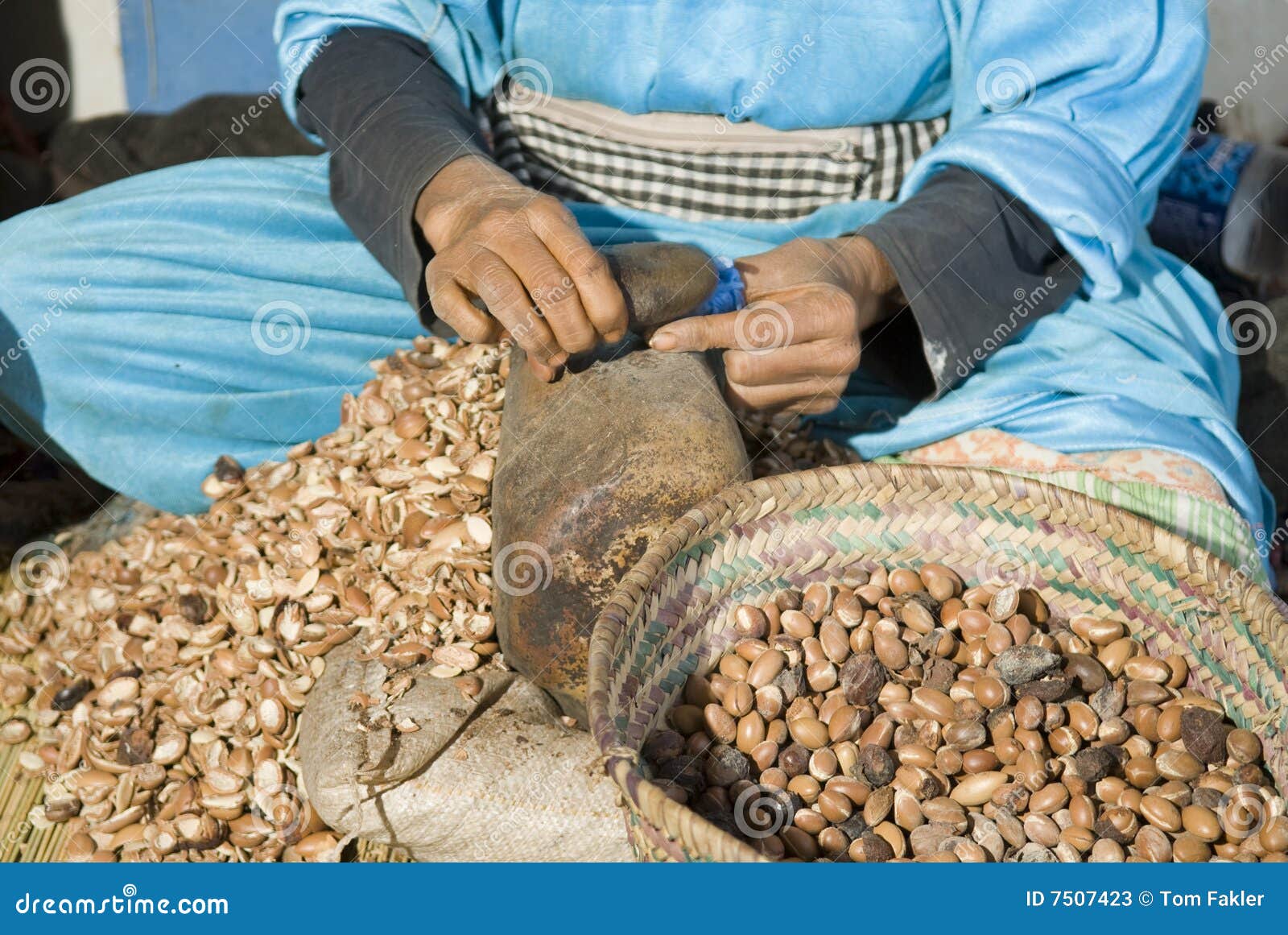 Cracking argan nuts stock image. Image of rock, cracking - 7507423