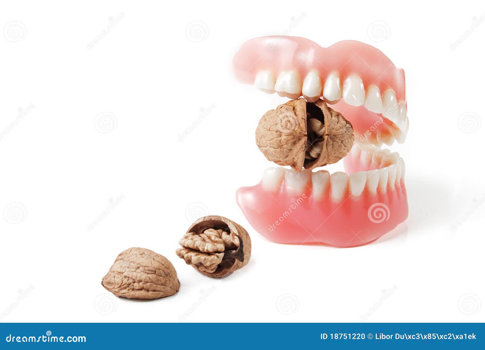 Cracking Nuts By Bridgework Stock Photo - Image of gypsum, production