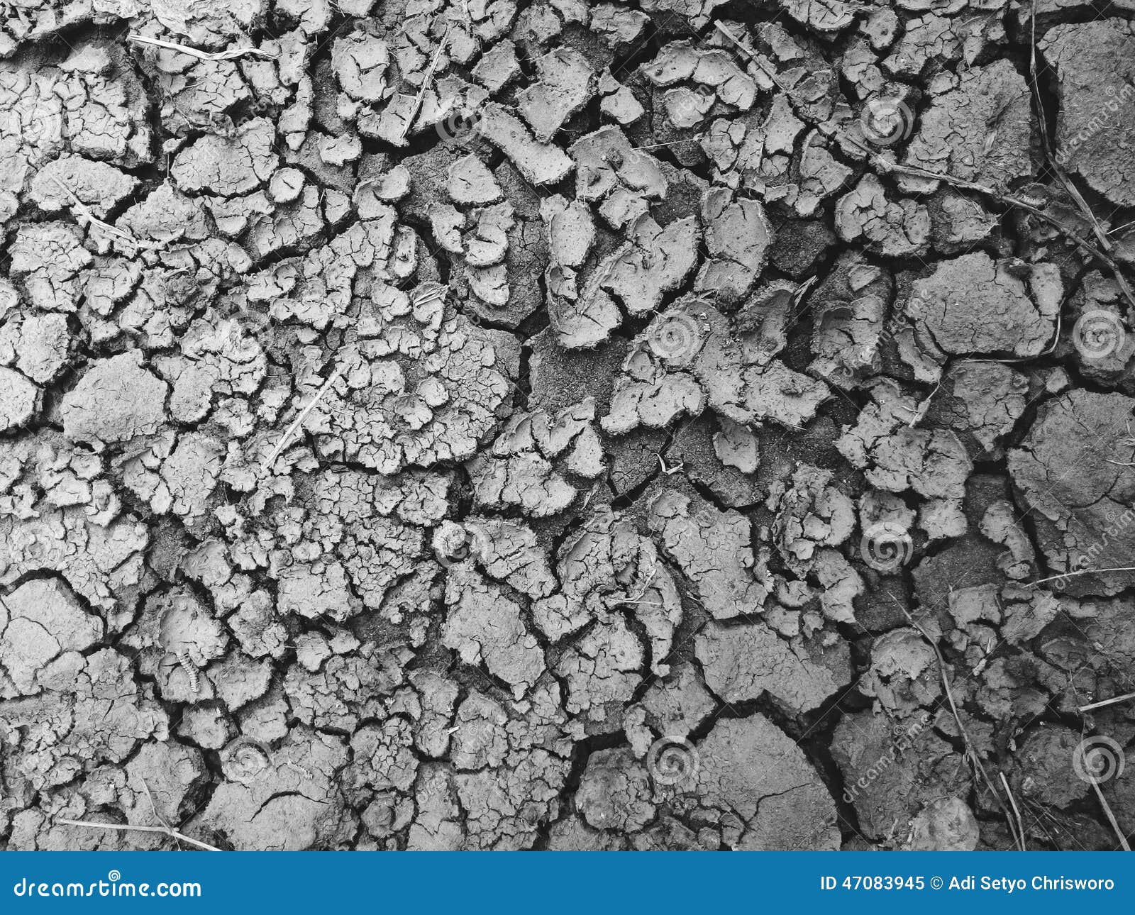 Cracking Soil stock image. Image of soil, cracking, background 47083945
