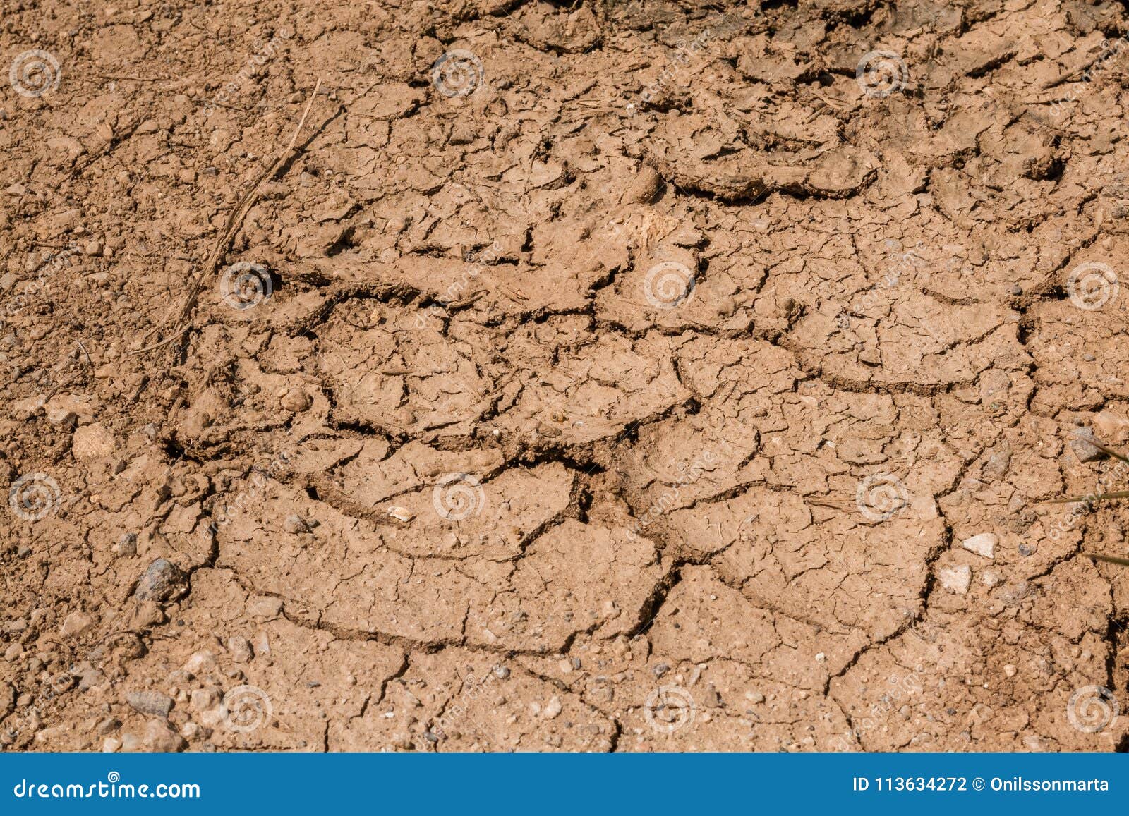 Cracks the Drought in Spain`s Dry Fields. Mud Barren. Stock Photo