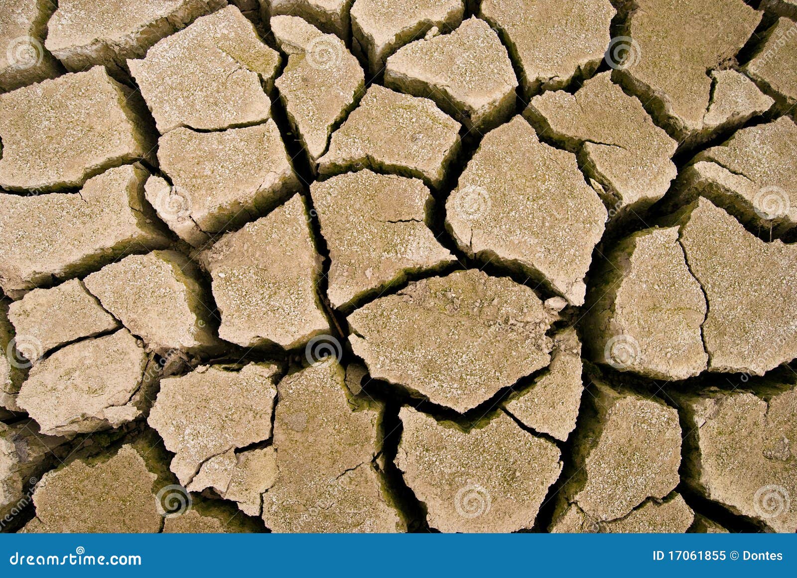 cracks in the parched earth