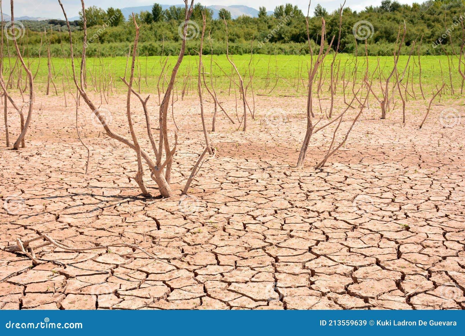 cracks in soil due to drought