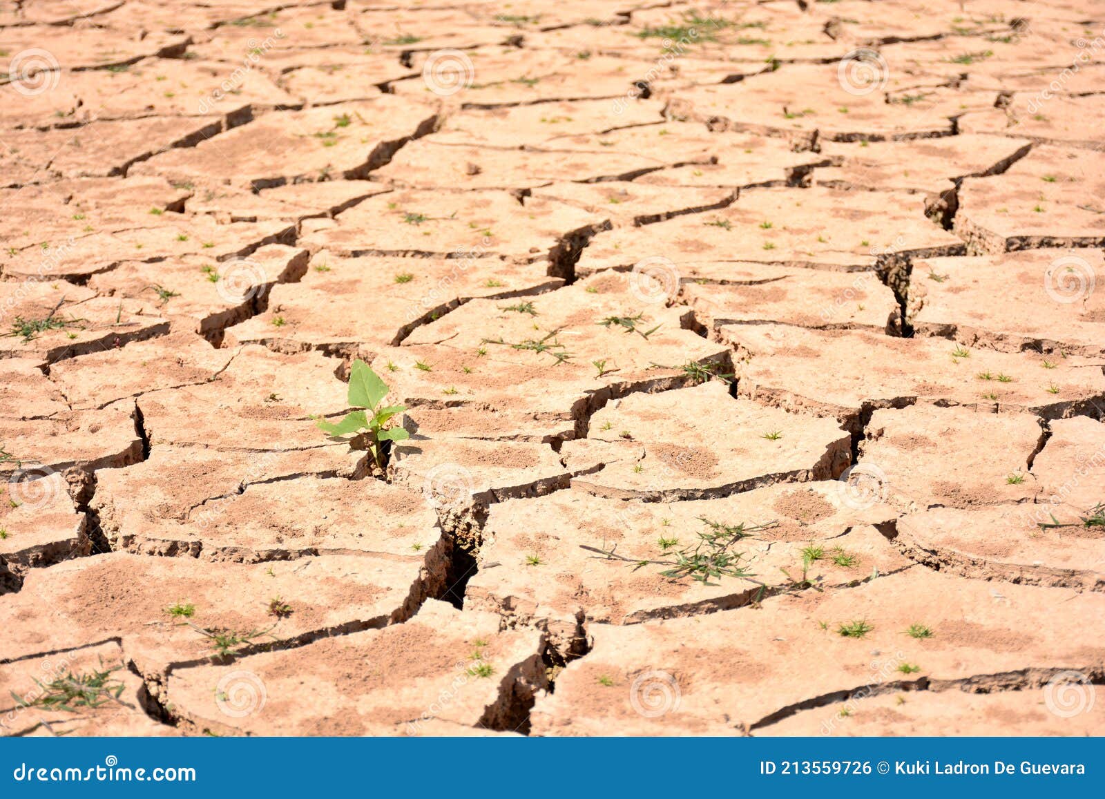 cracks in soil due to drought
