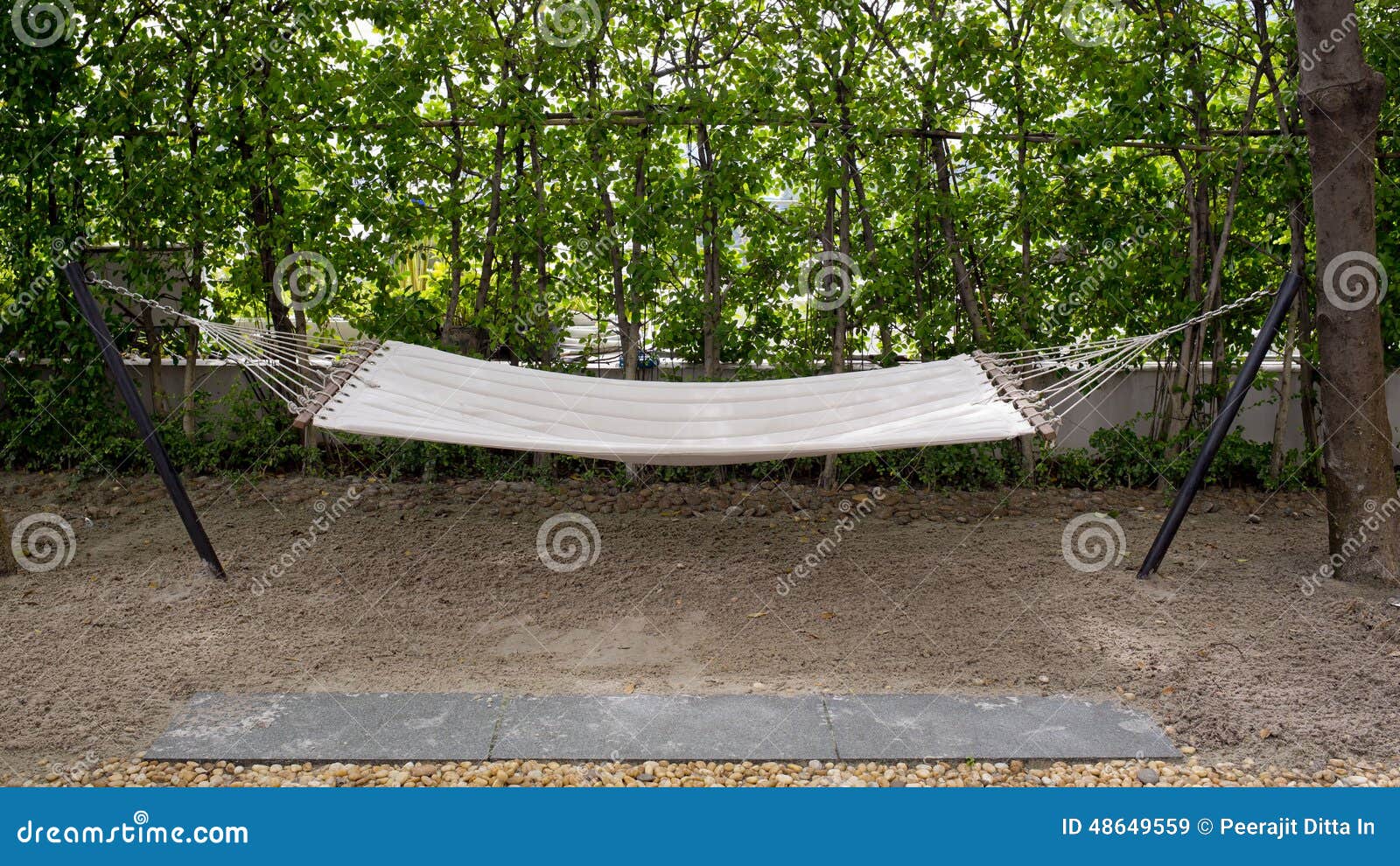 A Cradle Made from Rope Near the Beach Stock Image Image of season