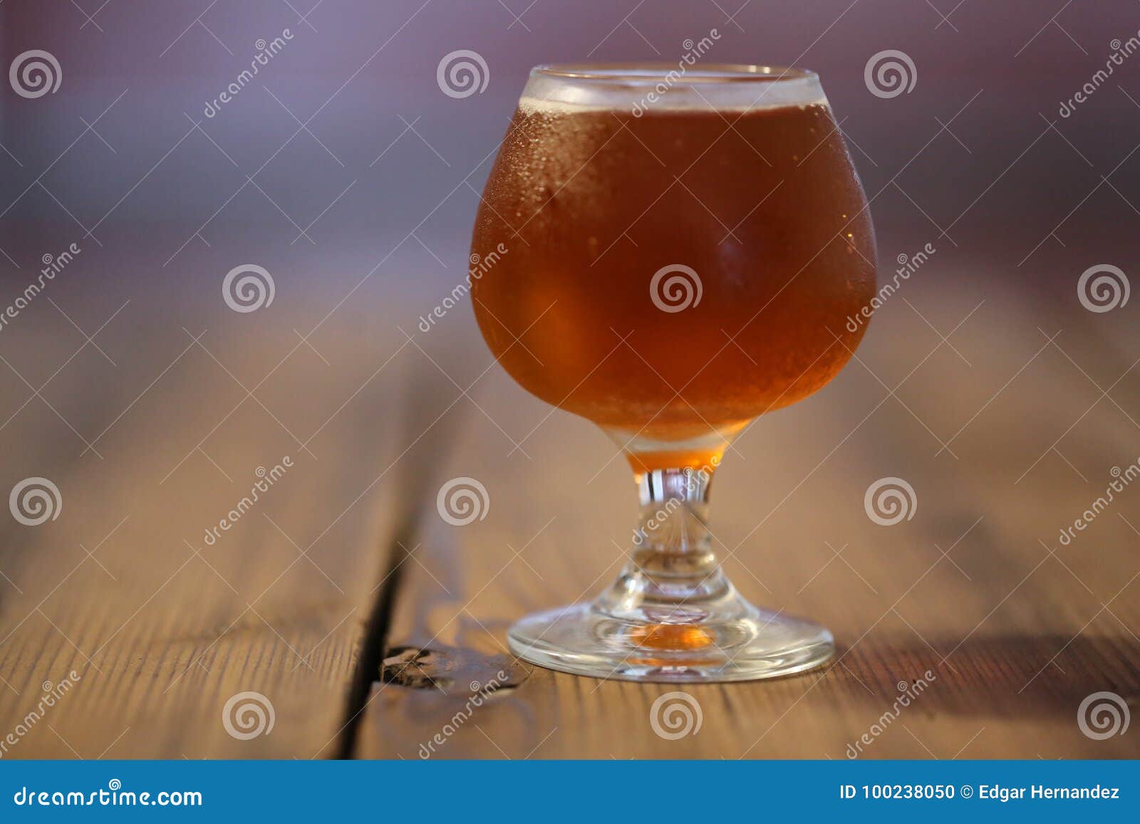 Craft Beer Tasting Glass stock photo. Image of american 100238050