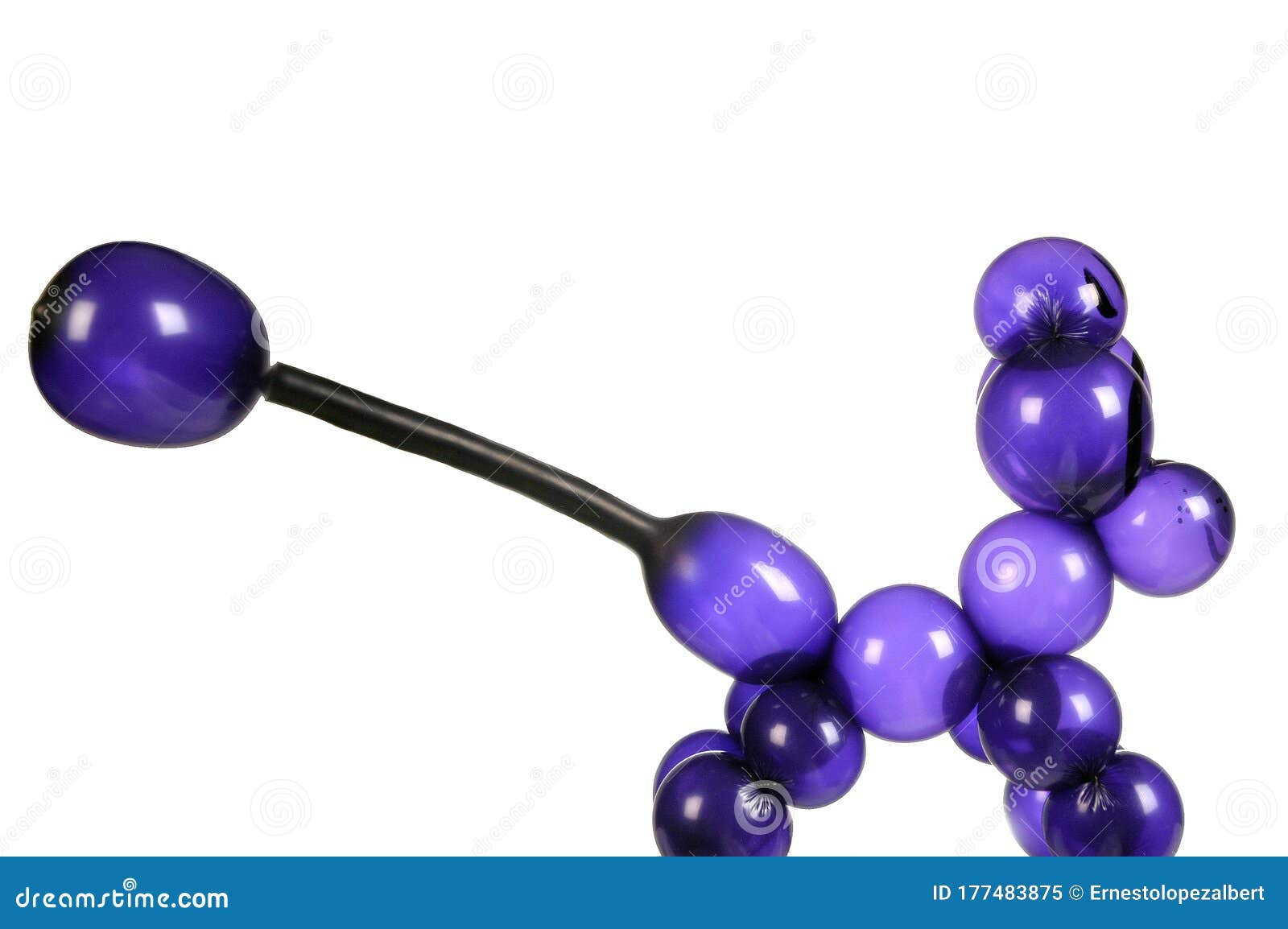 Craft Made of Dog Shaped Balloons Stock Image Image of color
