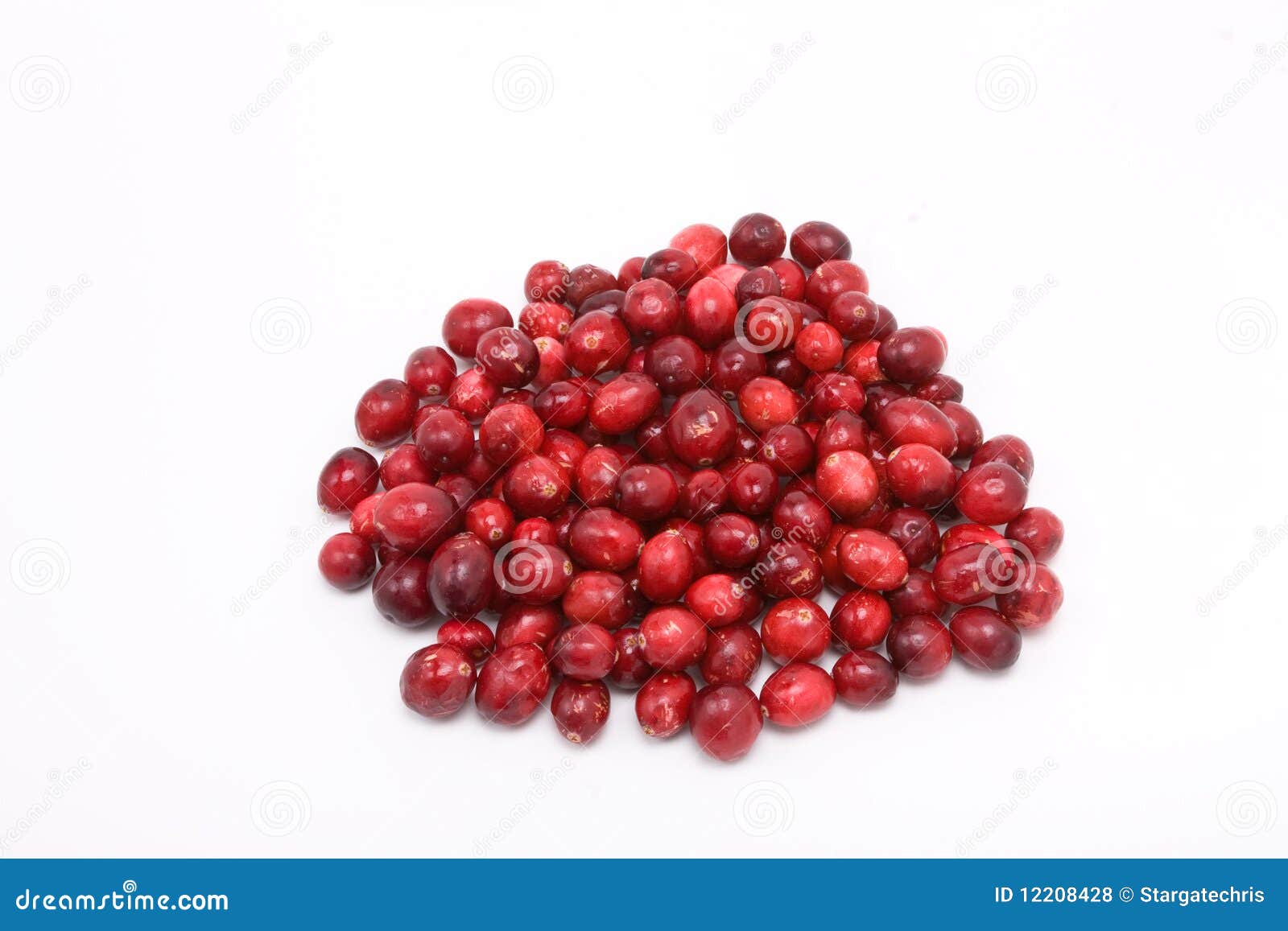 Cranberries stock photo. Image of berry, sweet, closeup 12208428