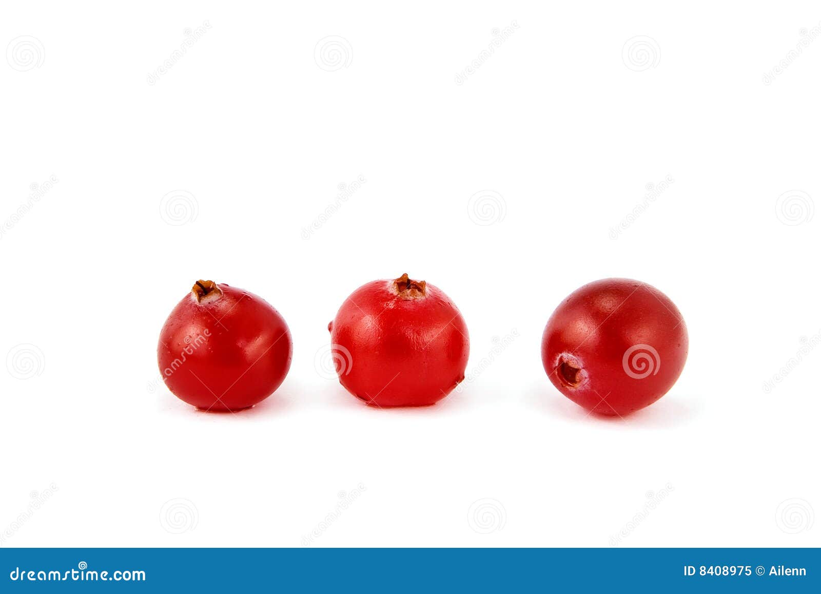 Cranberries stock image. Image of component, backgrounds 8408975