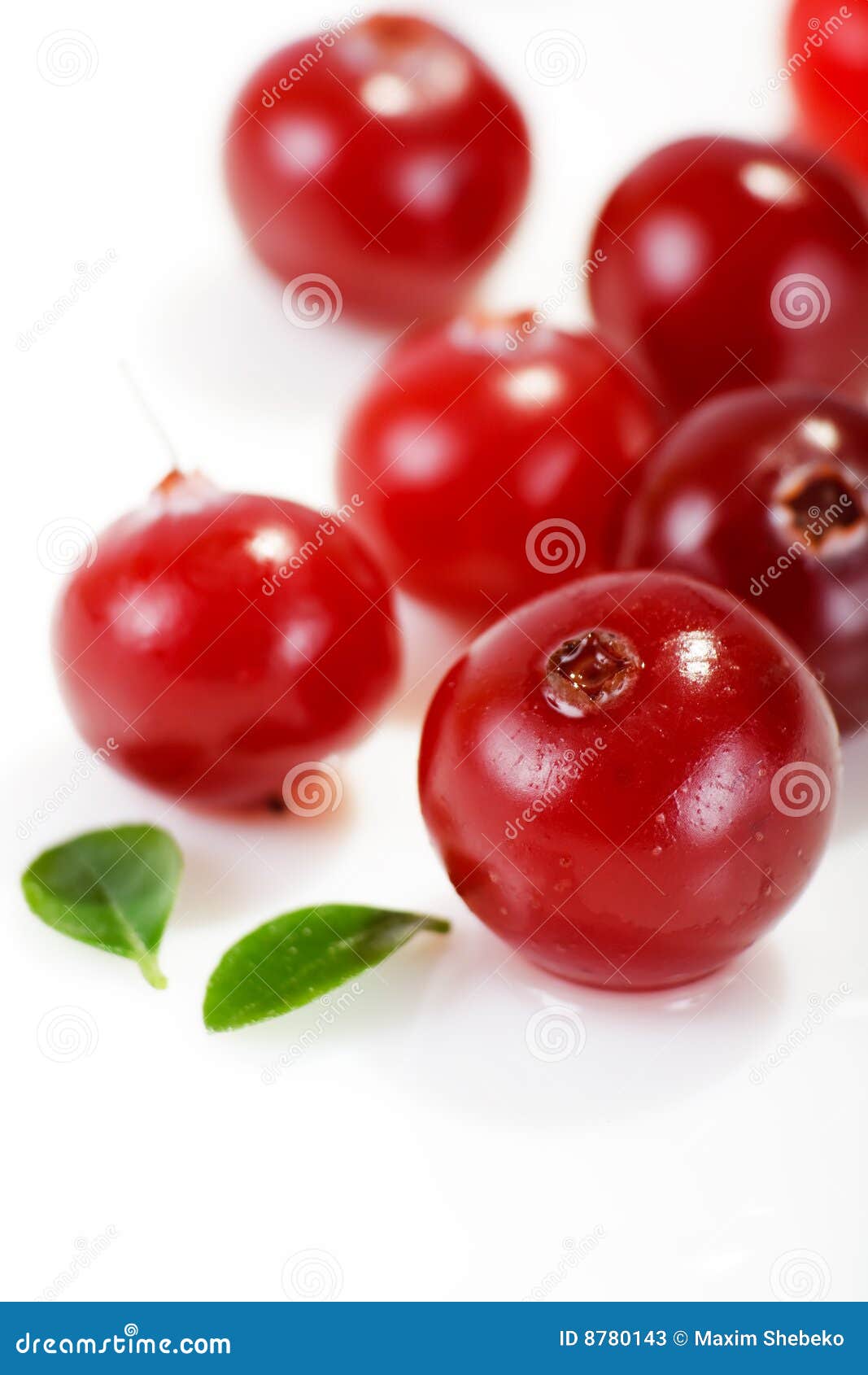 Cranberries stock image. Image of sweet, fruit, vitamin 8780143