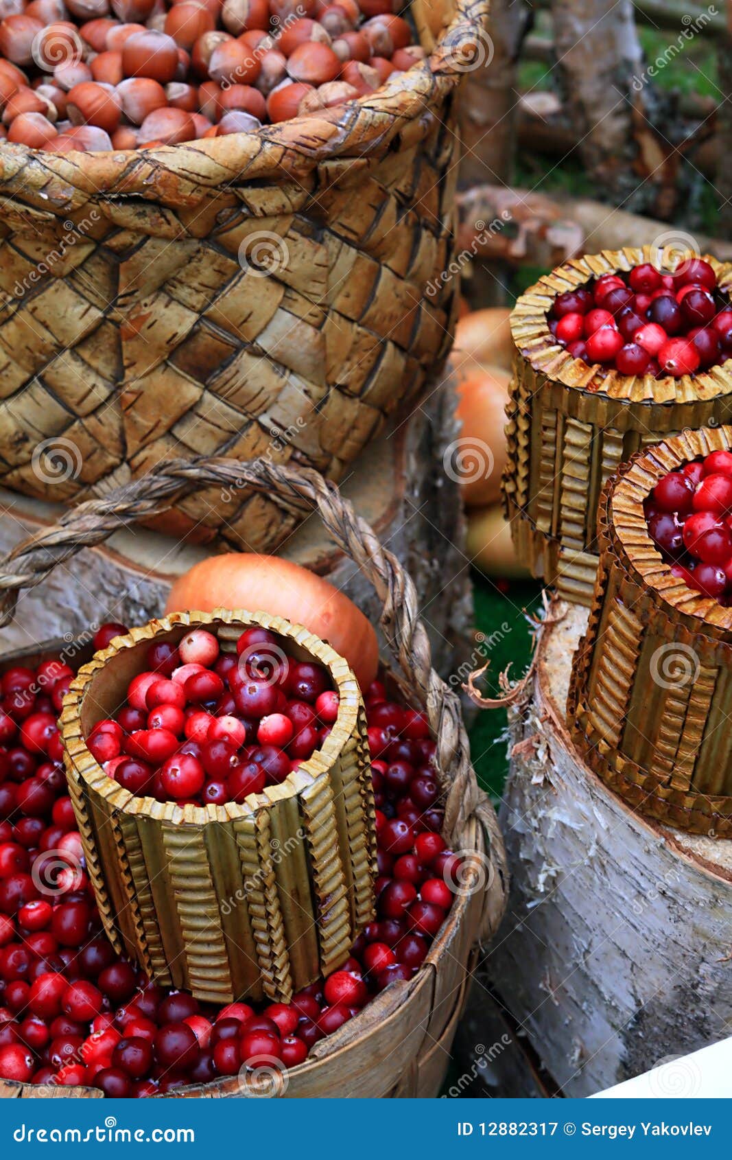 Cranberry in basket stock image. Image of basket, circle 12882317