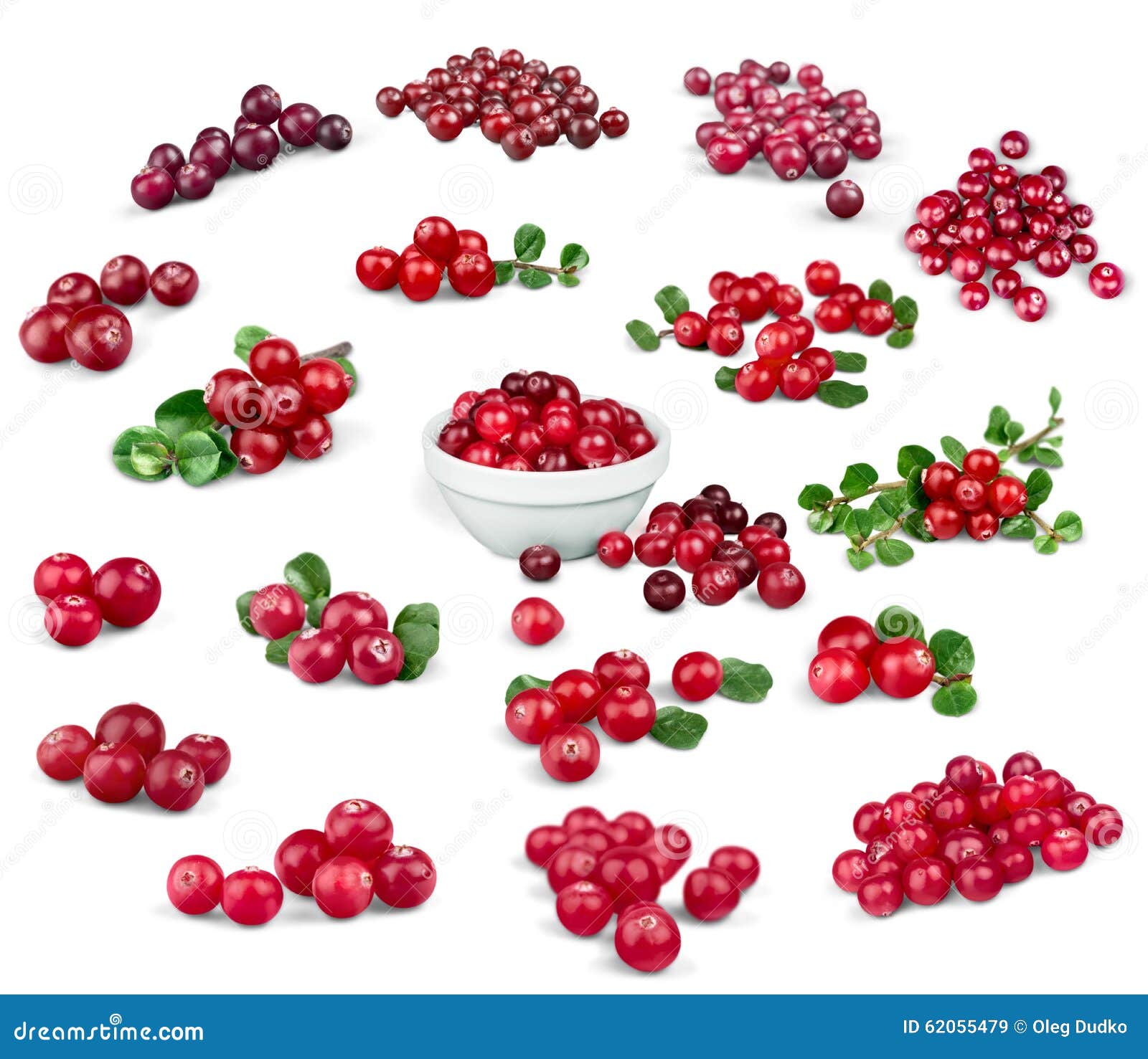 Cranberry stock image. Image of closeup, studio, white 62055479