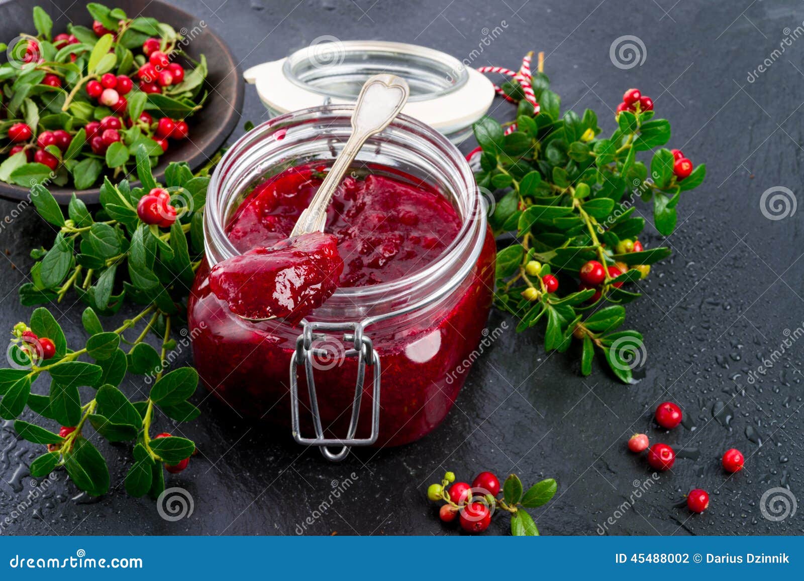 Cranberry jam stock photo. Image of dessert, ingredient - 45488002
