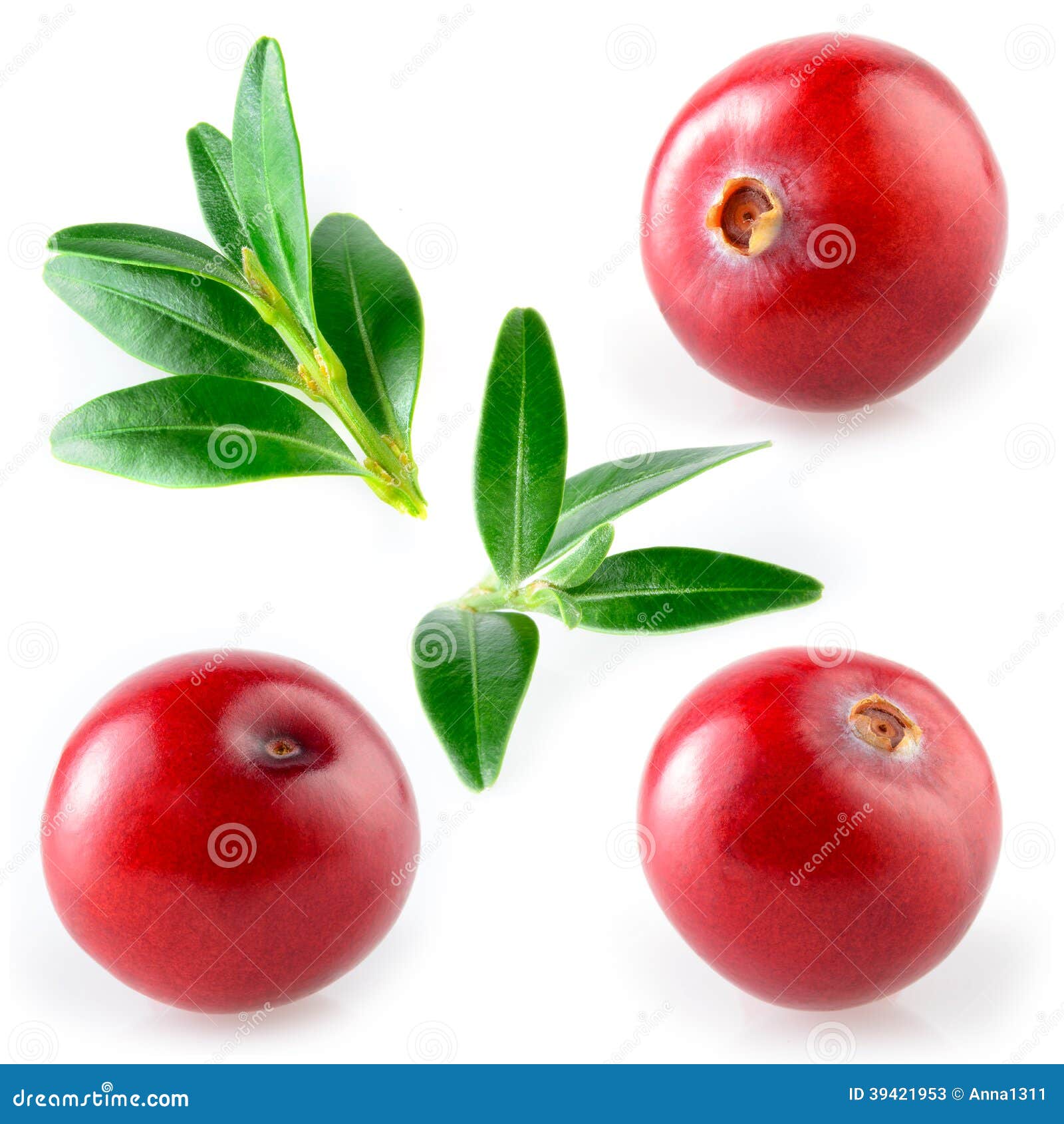 cranberry with leaf. collection on white background
