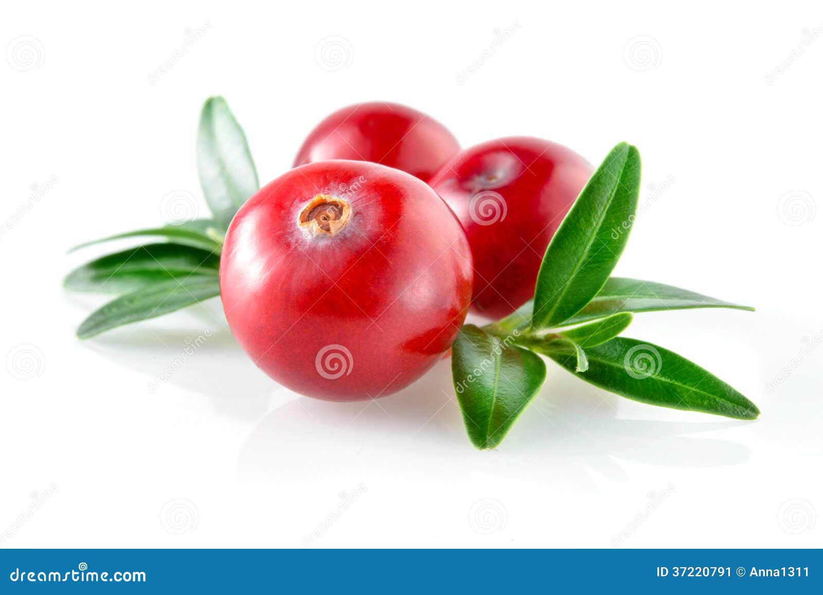 cranberry with leaf on white background