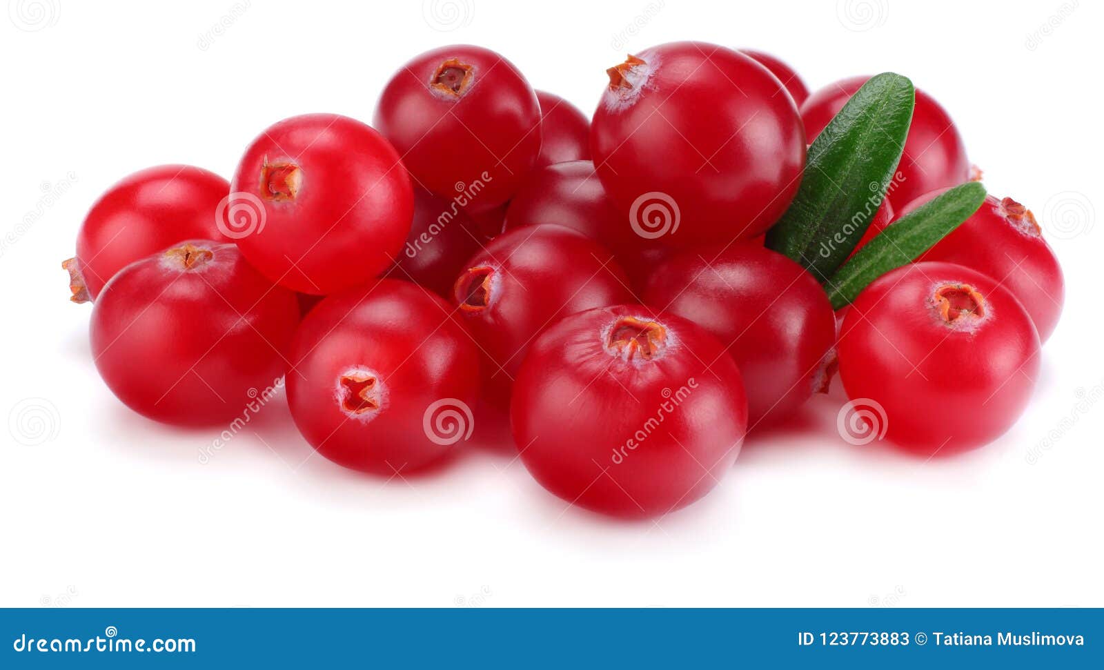 Cranberry with Leaves Isolated on White. with Clipping Path. Full Depth of Field Stock Image