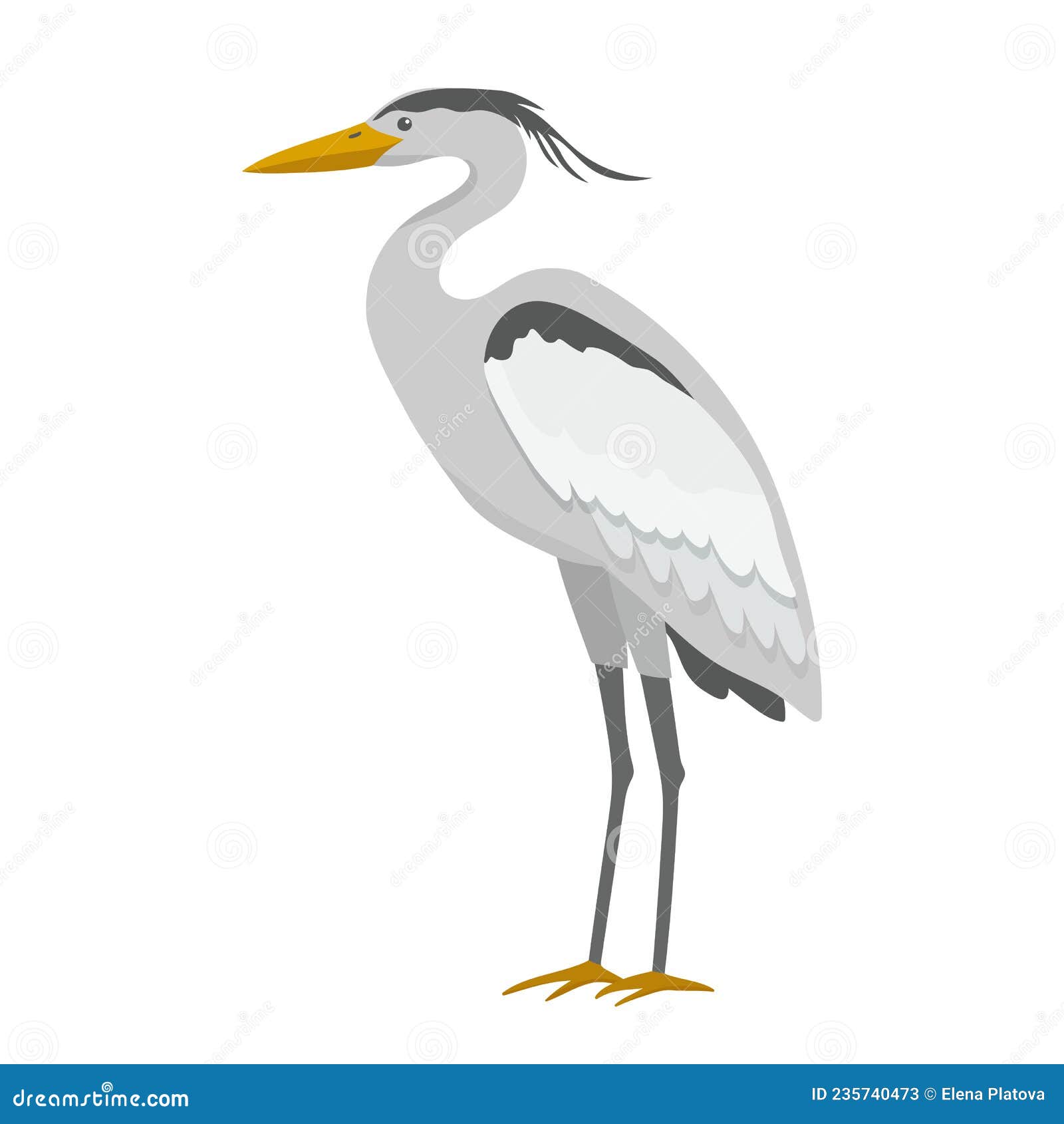 Crane Cartoon Illustration Isolated on White. Wetland Grey Bird Standing.  Stock Vector - Illustration of flying, japanese: 235740473