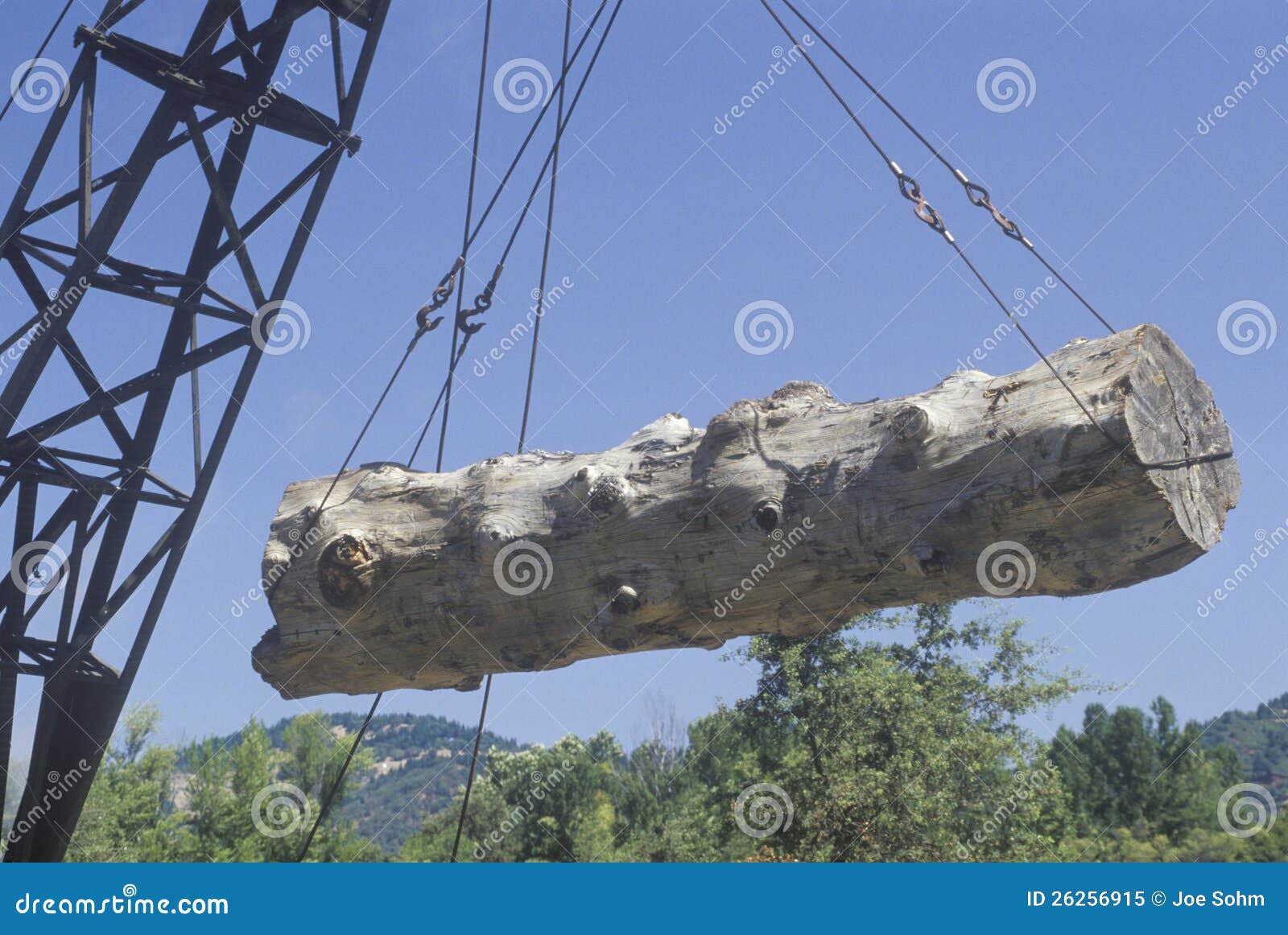 a crane raising a weathered log