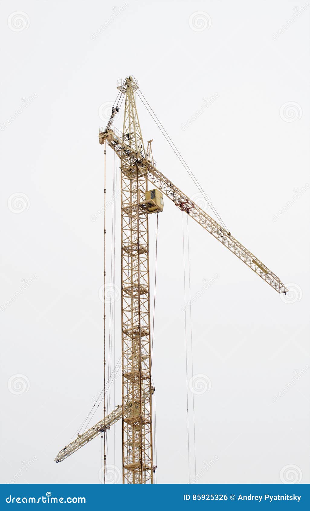 Crane Standing on the White Isolated Background Stock Photo Image of