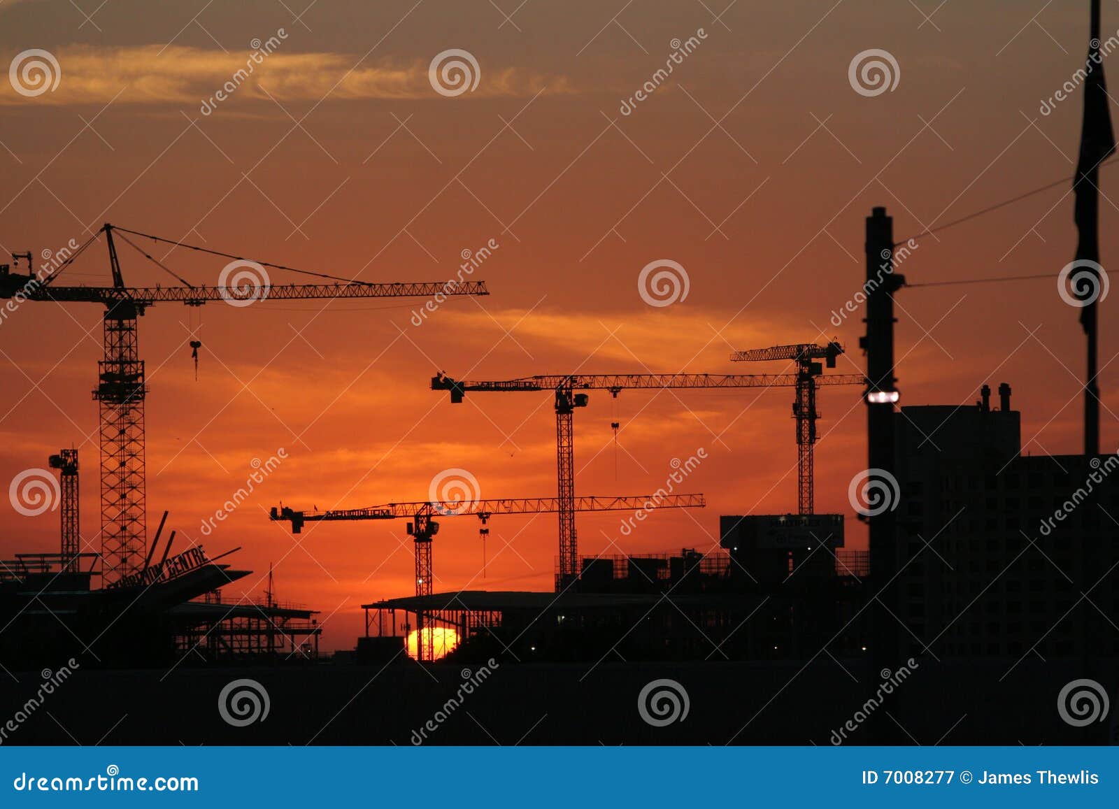 cranes on sunset