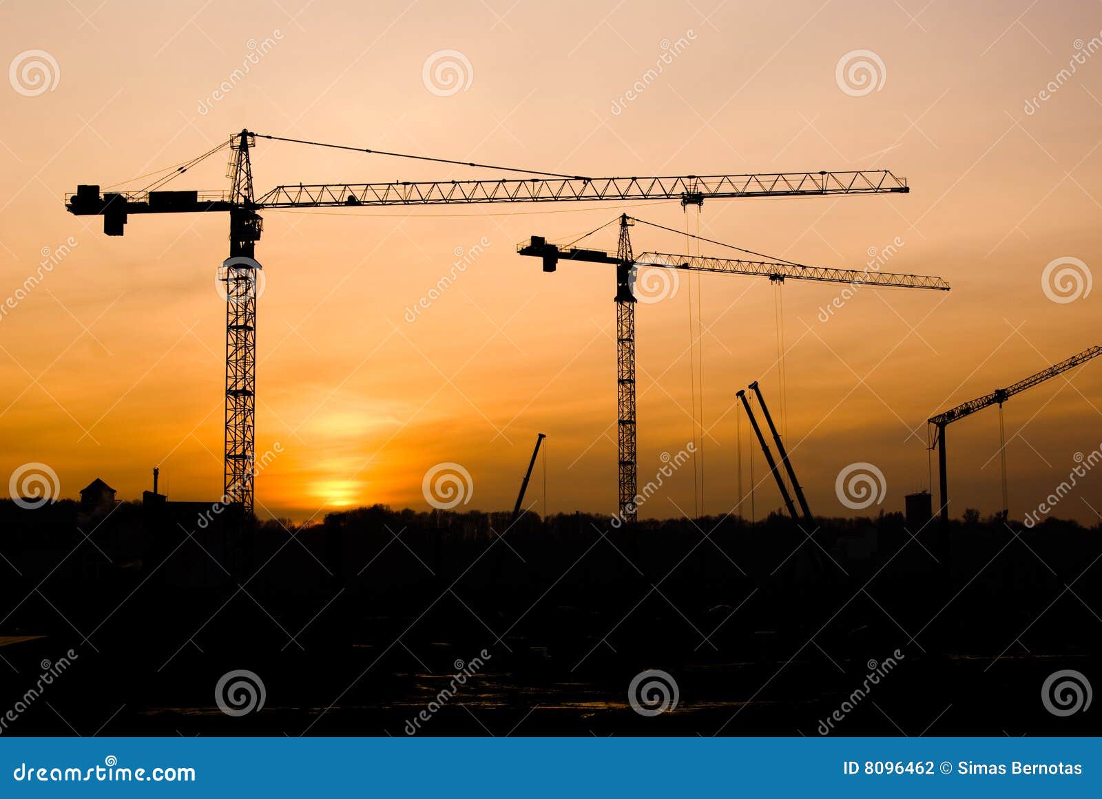 cranes at sunset