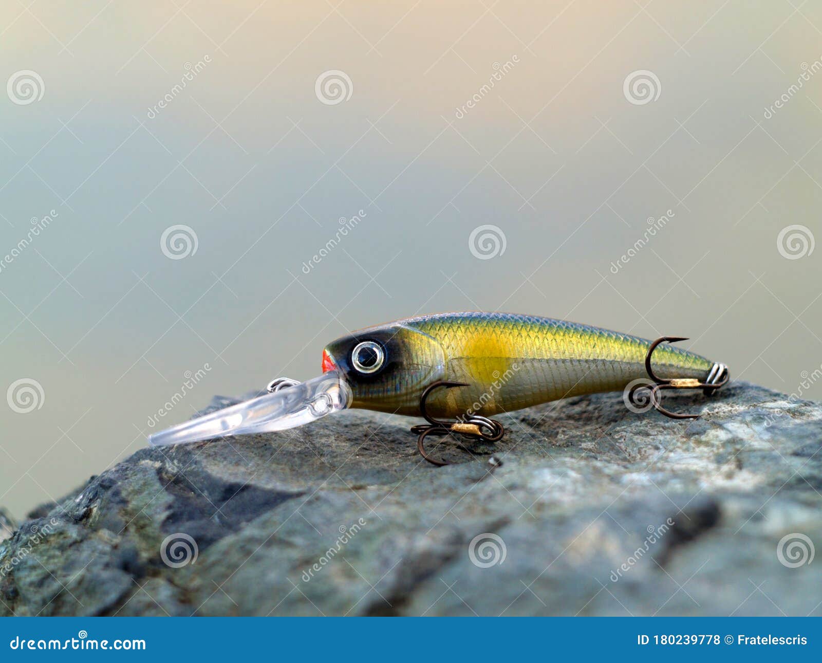Crankbait Fishing Bait Wobbler on a Stone Stock Photo - Image of bait,  barble: 180239778