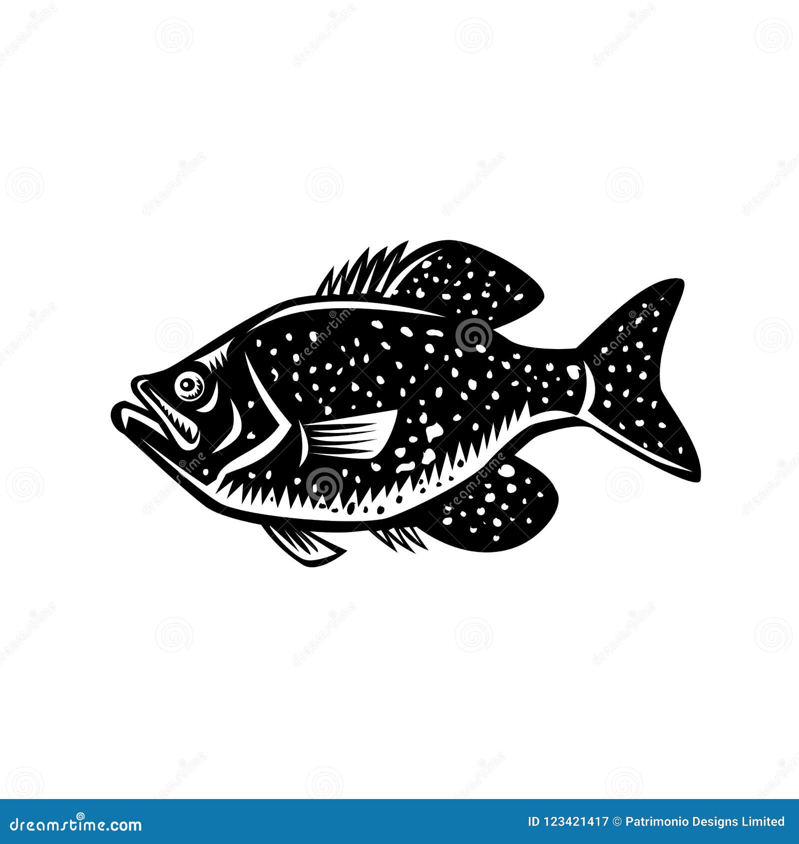 Crappie Bass Stock Illustrations – 131 Crappie Bass Stock Illustrations,  Vectors & Clipart - Dreamstime