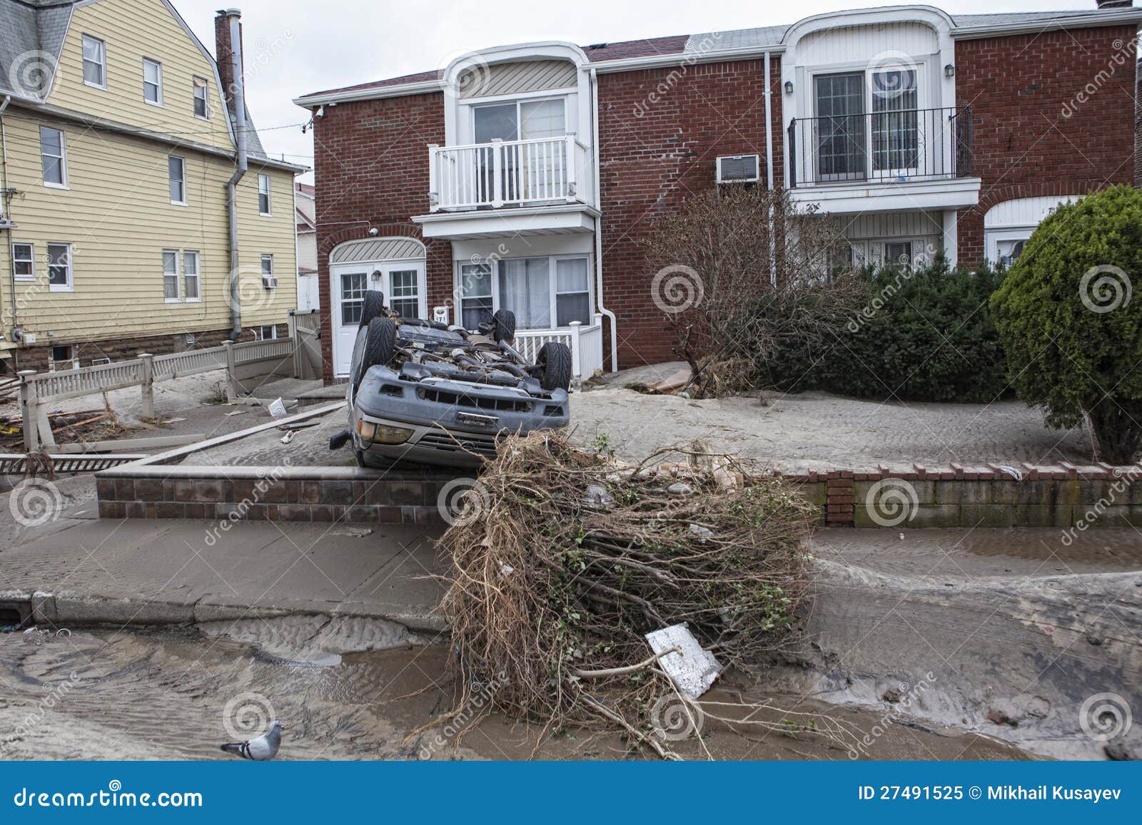 Crashed Cars after Hurricane Sandy Editorial Image Image of deep