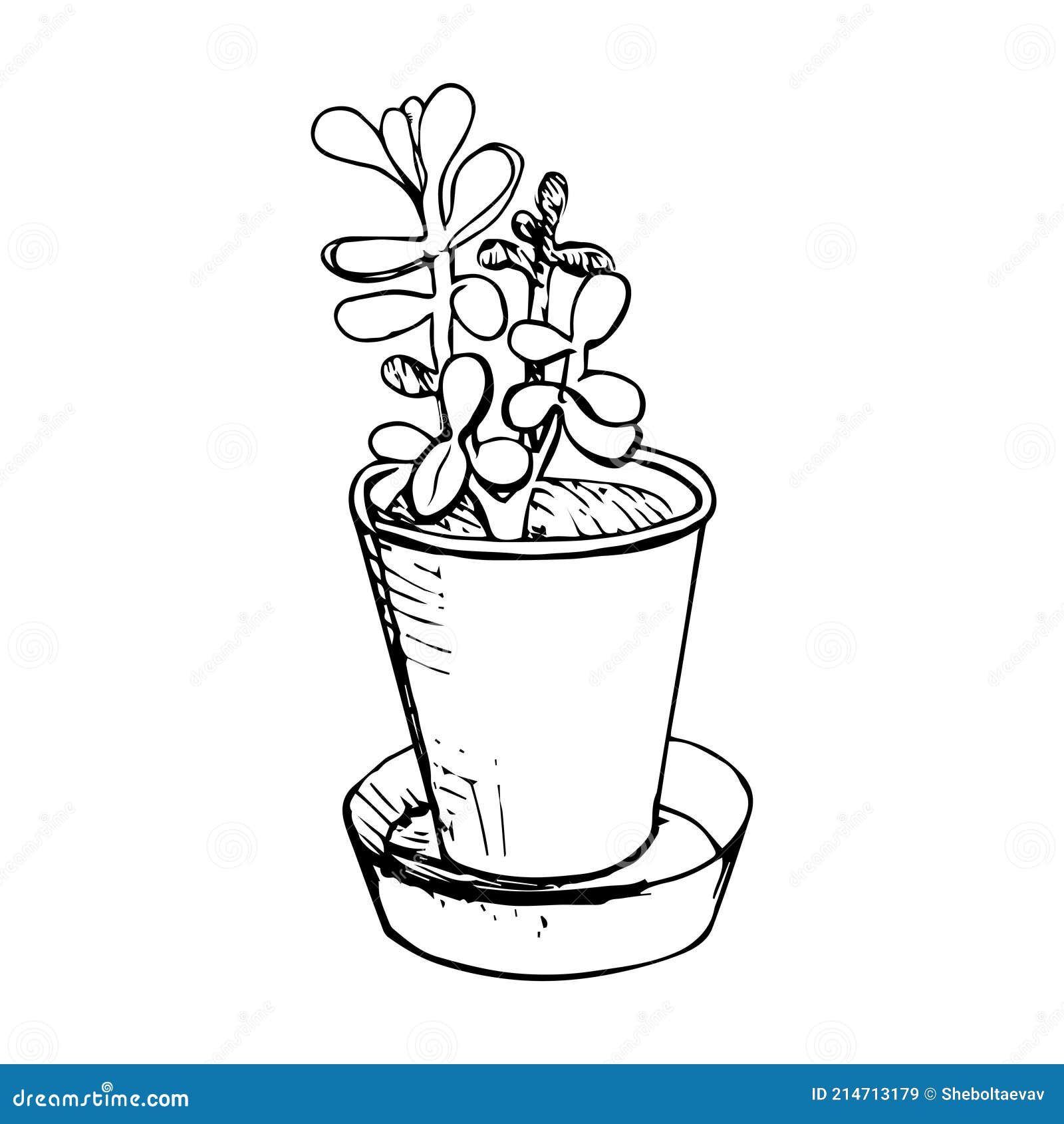 Suculentas Do Arizona. Cacto Na Ilustração Do Desenho Animado Do Pote Da  Flor. Plantas Do Deserto Ou Plantas Home Nas Prateleiras Isoladas No Branco  Royalty Free SVG, Cliparts, Vetores, e Ilustrações Stock.