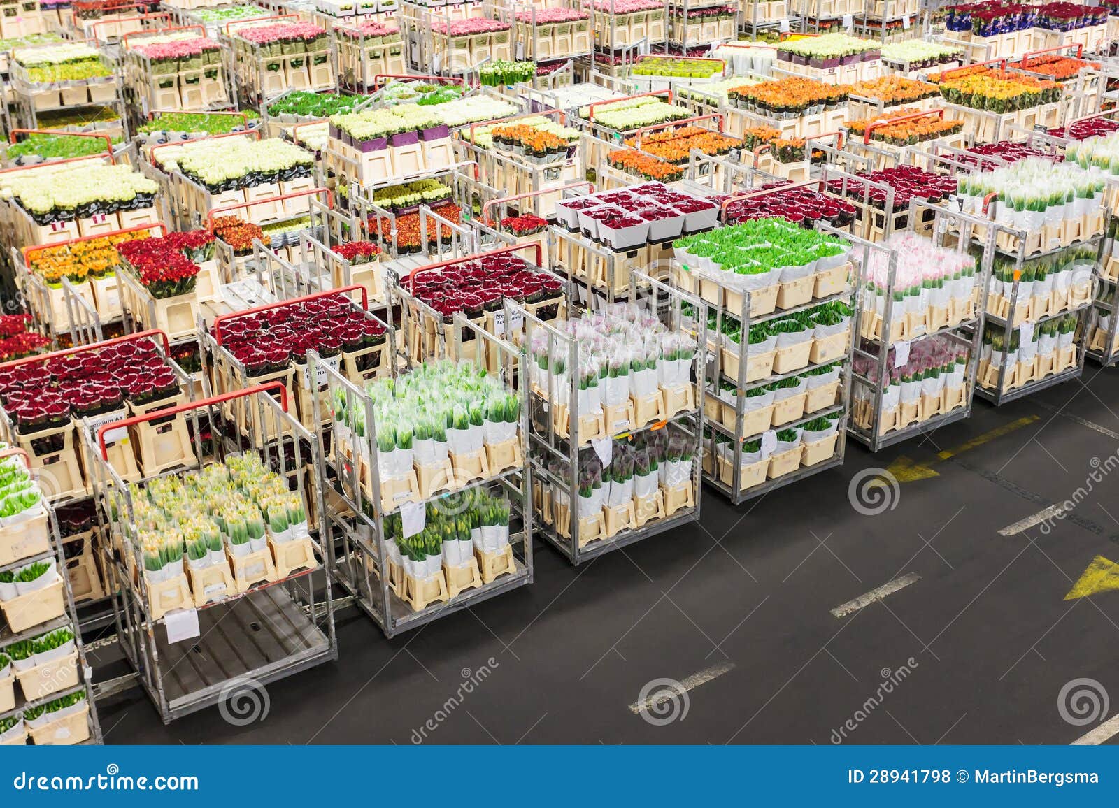 Crates with Flowers on a Dutch Flower Auction Stock Photo Image of market, container 28941798