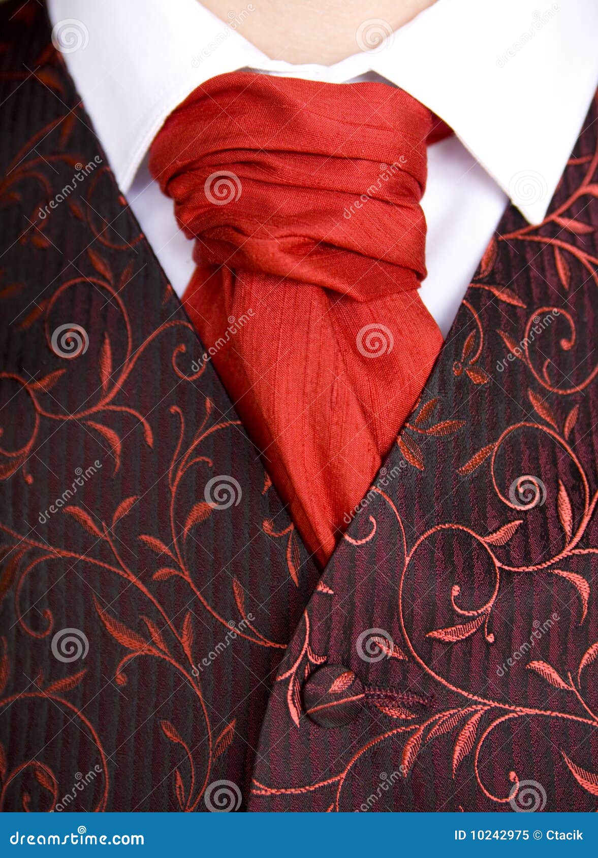 Cravat Ascot Tie stock image. Image of cravat, person - 10242975