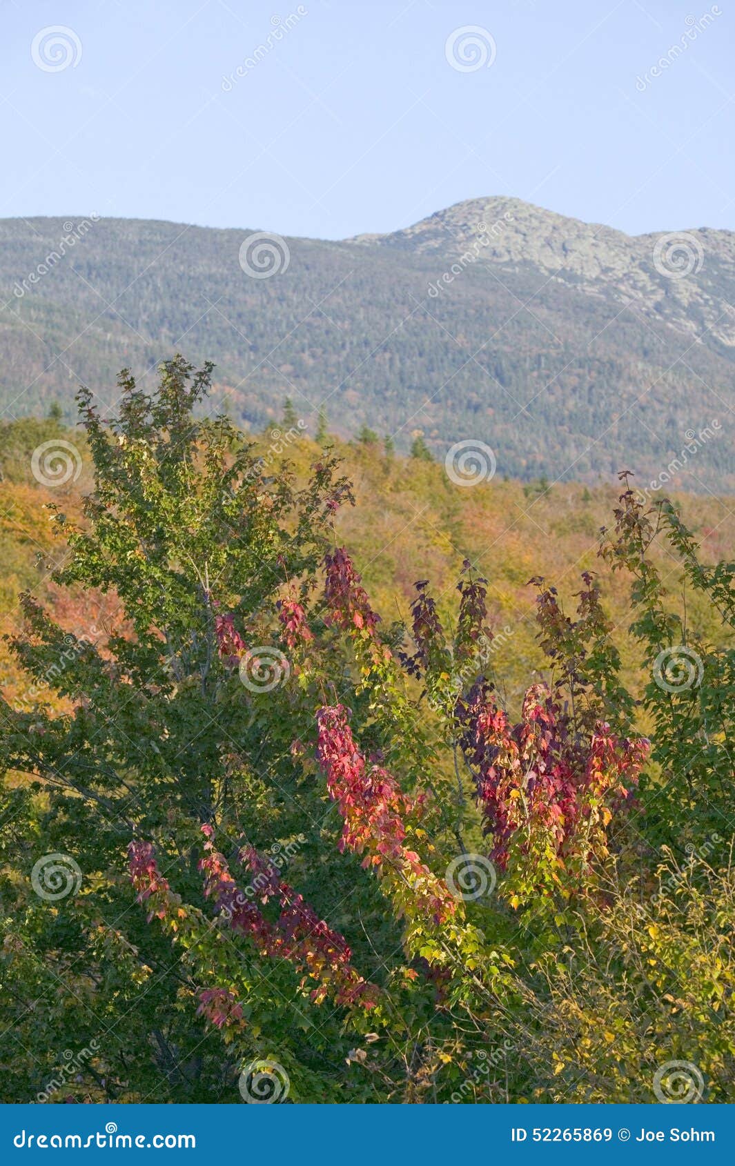 crawford notch state park in the white mountains, new hampshire