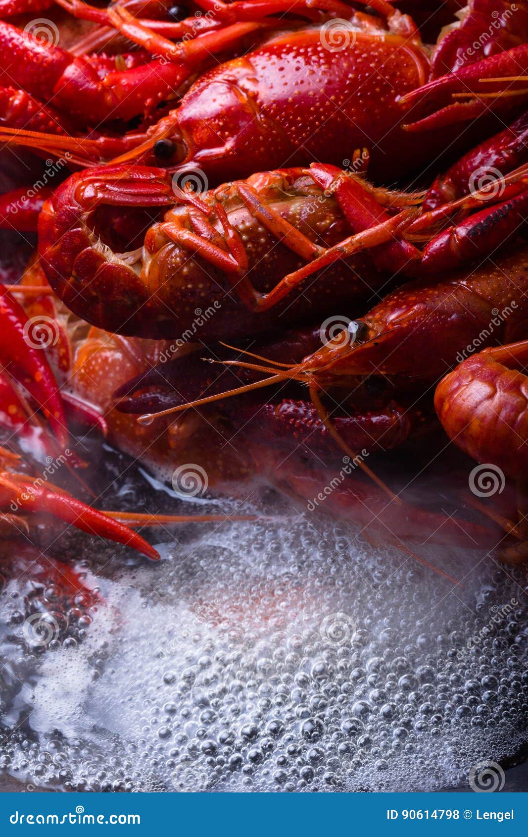 crayfish