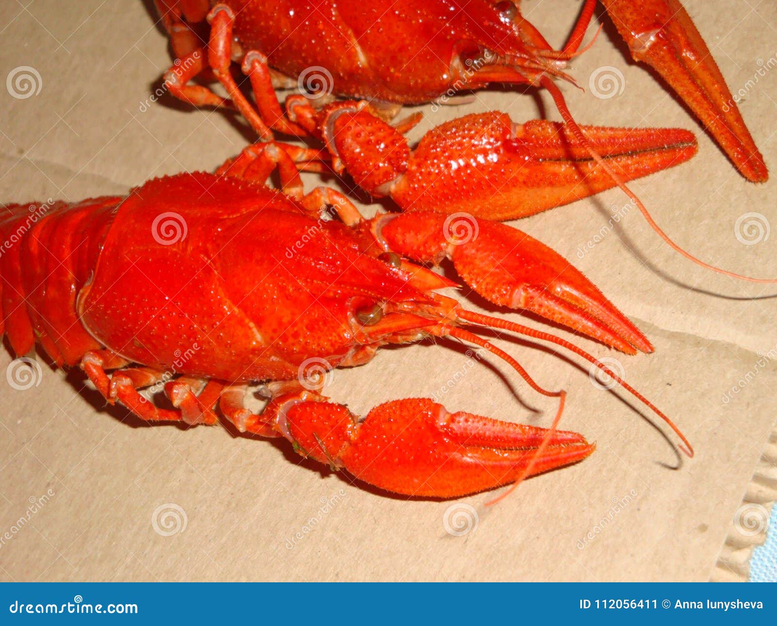 Crayfish Boiled Large, Red on the Table. Stock Image Image of cooked