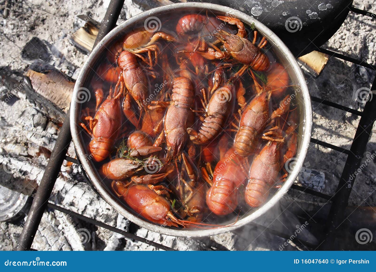 Crayfish Cooking Stock Photo Image Of Diet Healthy 16047640