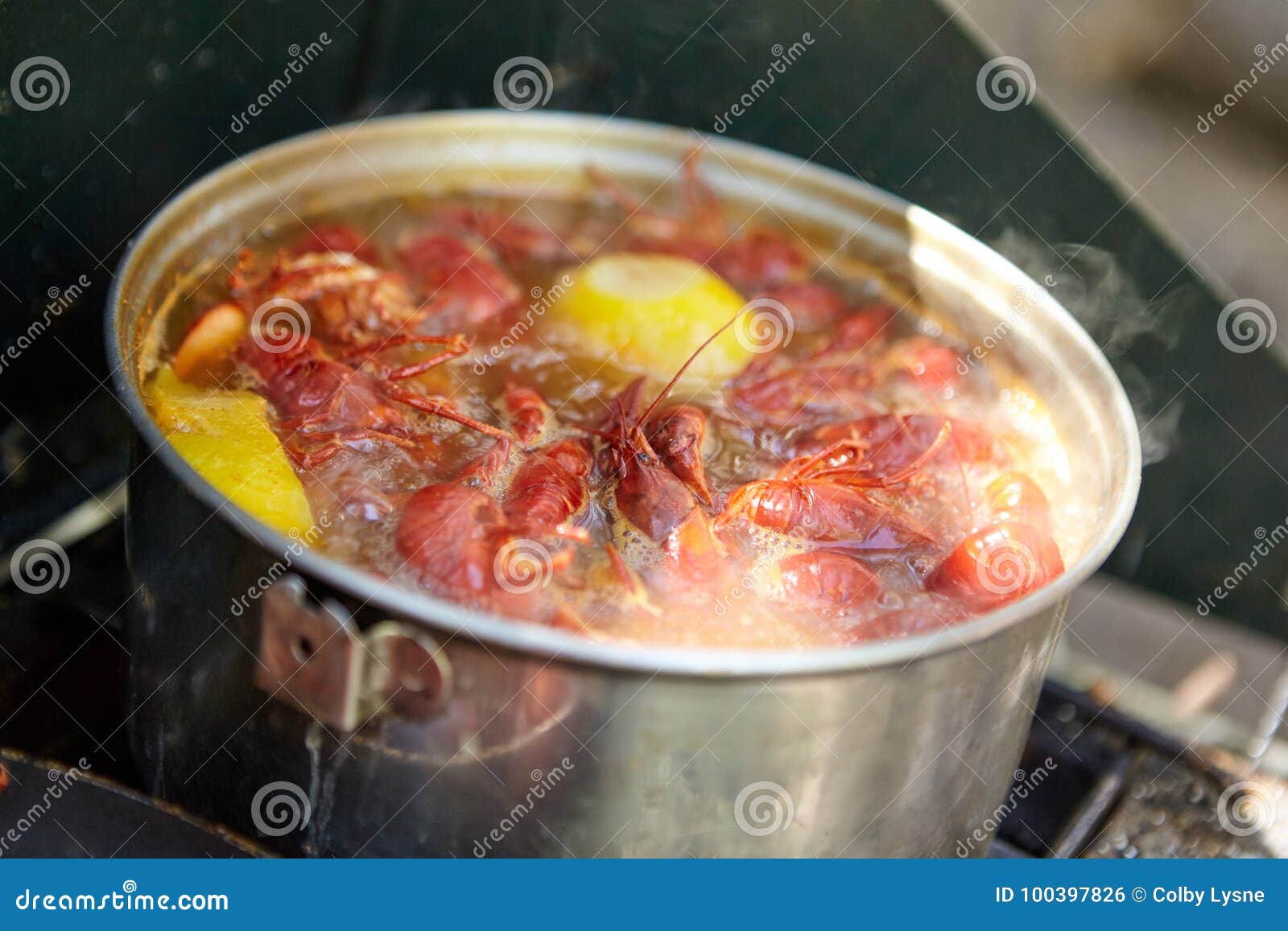 Crayfish Cooking with Lemon in Pot Stock Photo Image of fish