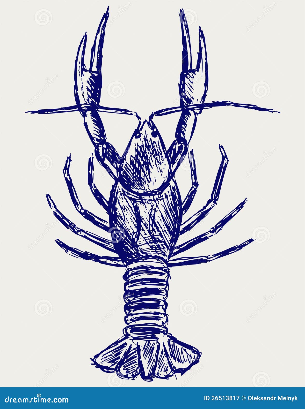 Crayfish sketch stock vector. Illustration of grunge - 26513817