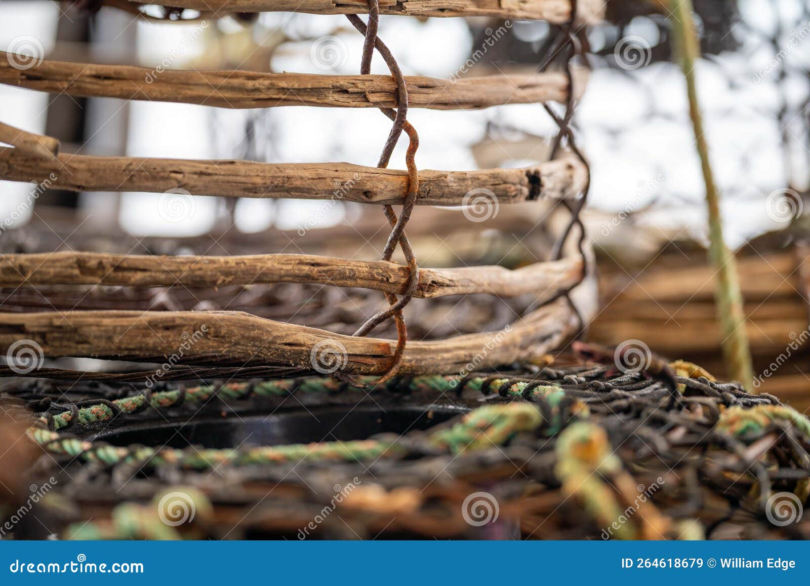 208 Crayfish Traps Stock Photos - Free & Royalty-Free Stock Photos from  Dreamstime