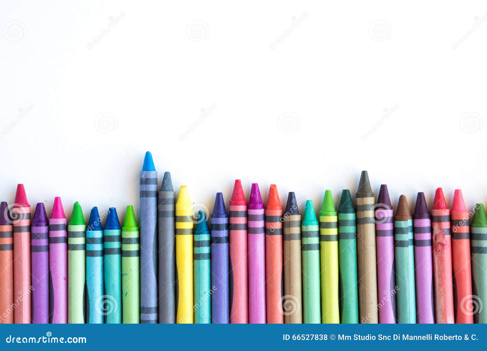 Crayons Lined Up Isolated on White Background Stock Photo Image of