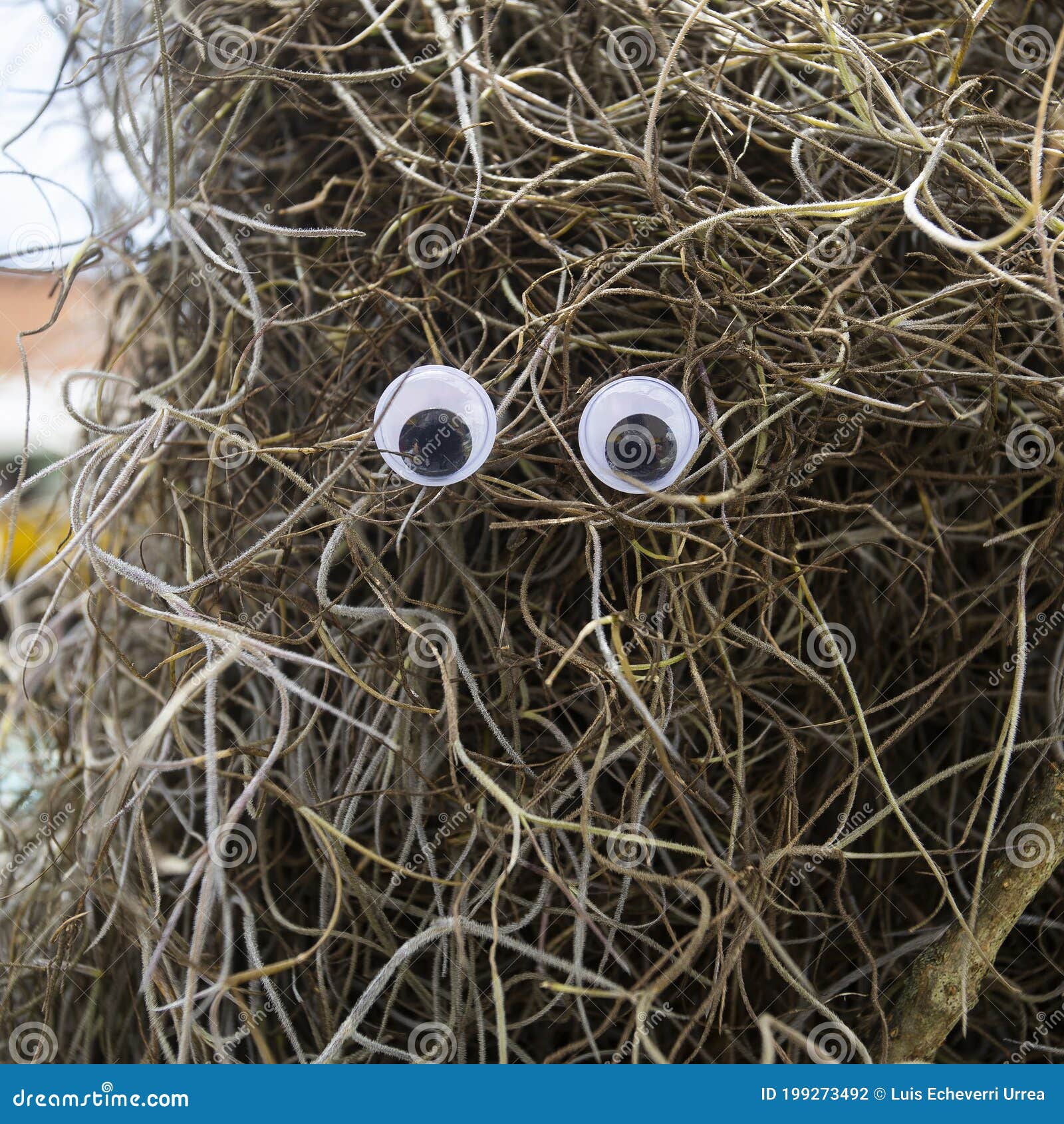 Crazy Googly Eyes Creative Expression with Googly Eyes Stock Photo