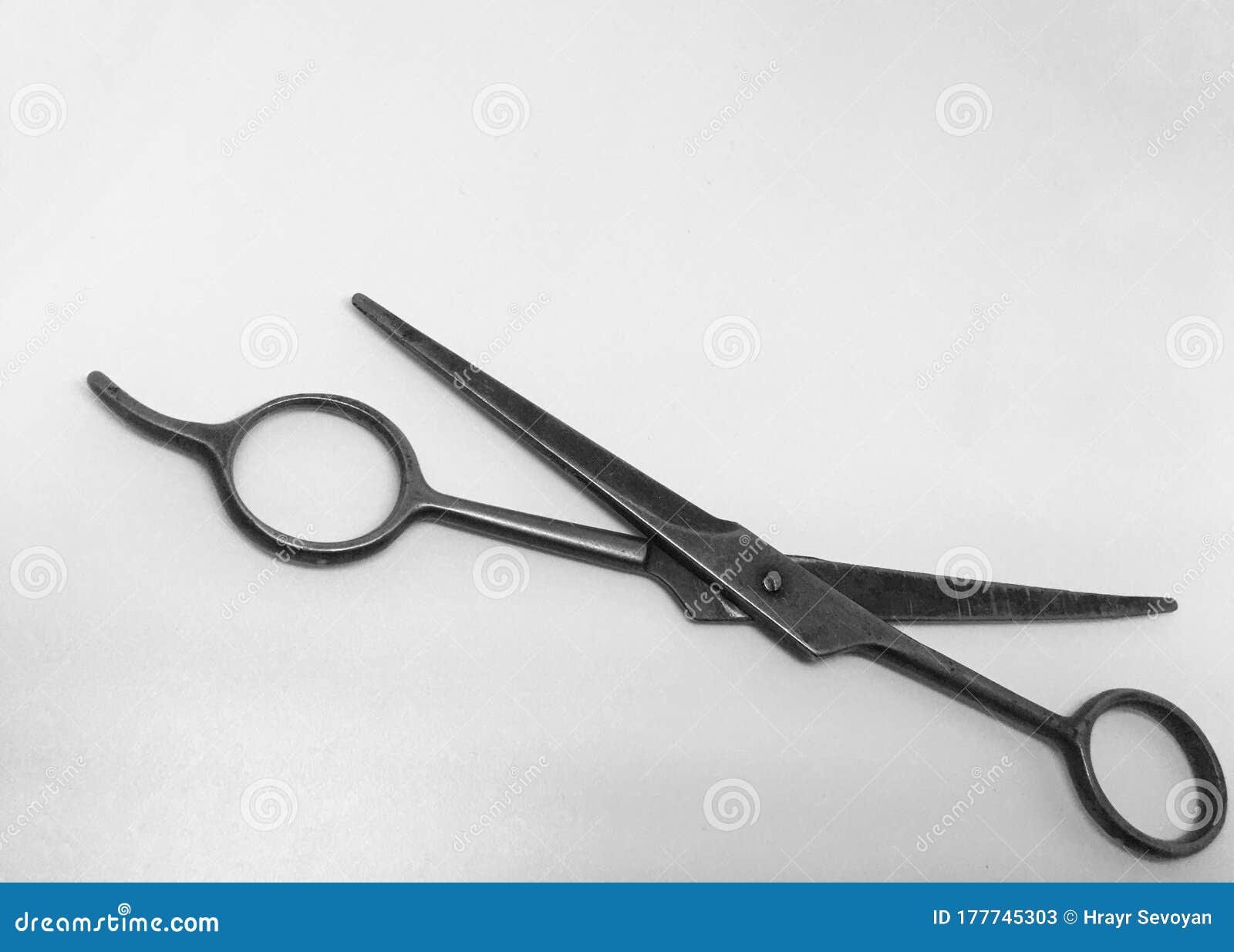 Crazy Hairdressing Scissors Fit for Beard Isolated on White Background  Stock Image - Image of crazy, close: 177745303