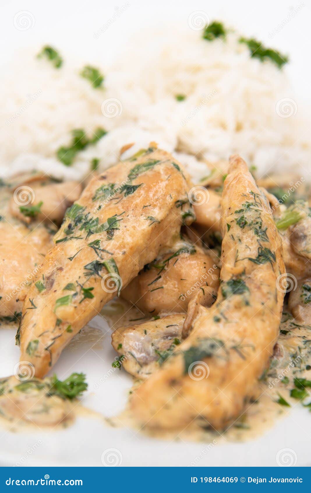 Creamy Herb Mushroom Chicken with Steamed Rice Closup Stock Image ...