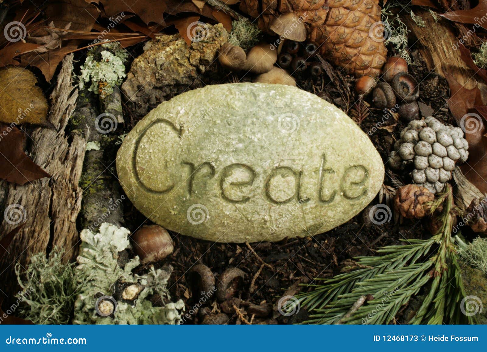 create etched on a stone on the forest floor