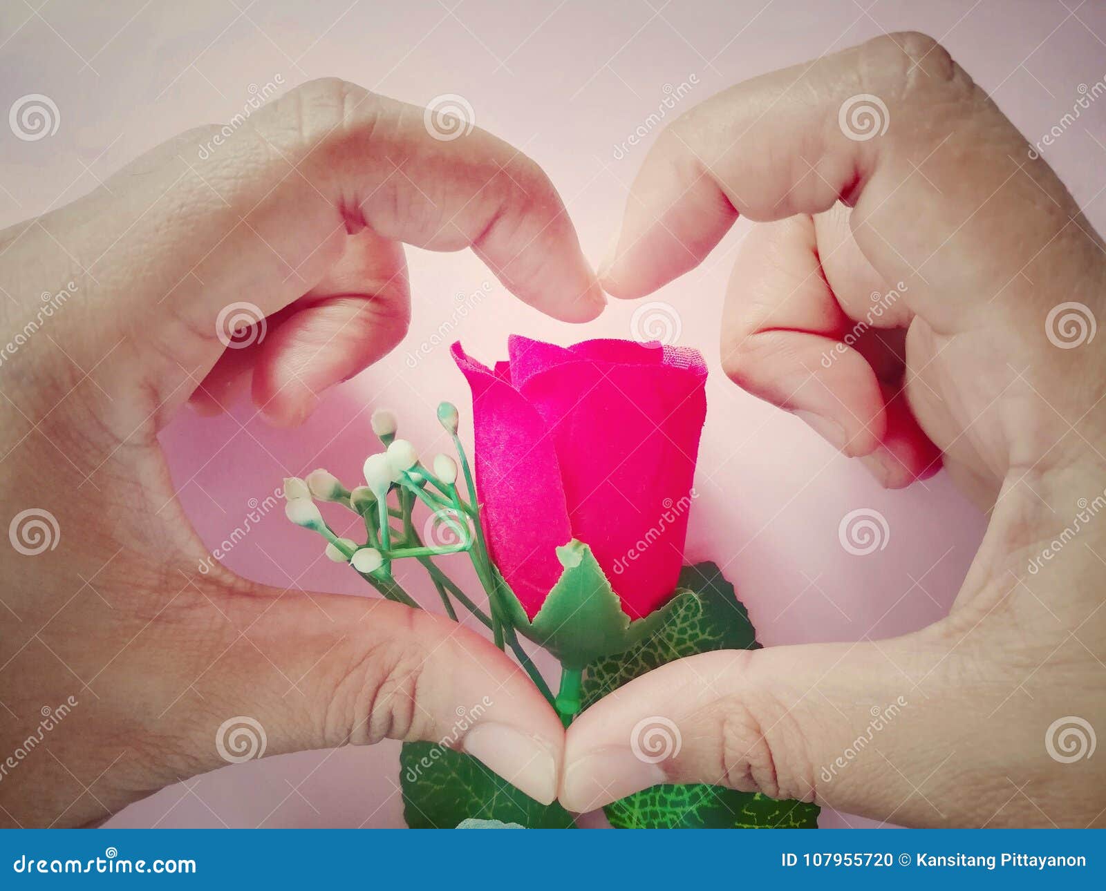 Create Hand Are Heart Shape Cover Rose Beautiful Wallpaper Valentine Day Stock Photo Image Of Background Love 107955720,Furniture Arrangement Rectangular Small Narrow Living Room Ideas