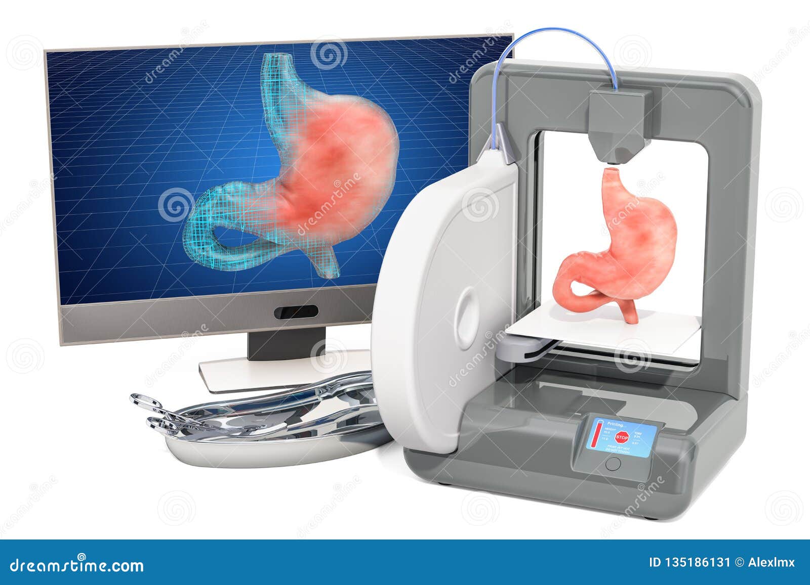 Creating Artificial Stomach on Three Dimensional Printer, 3d Printing