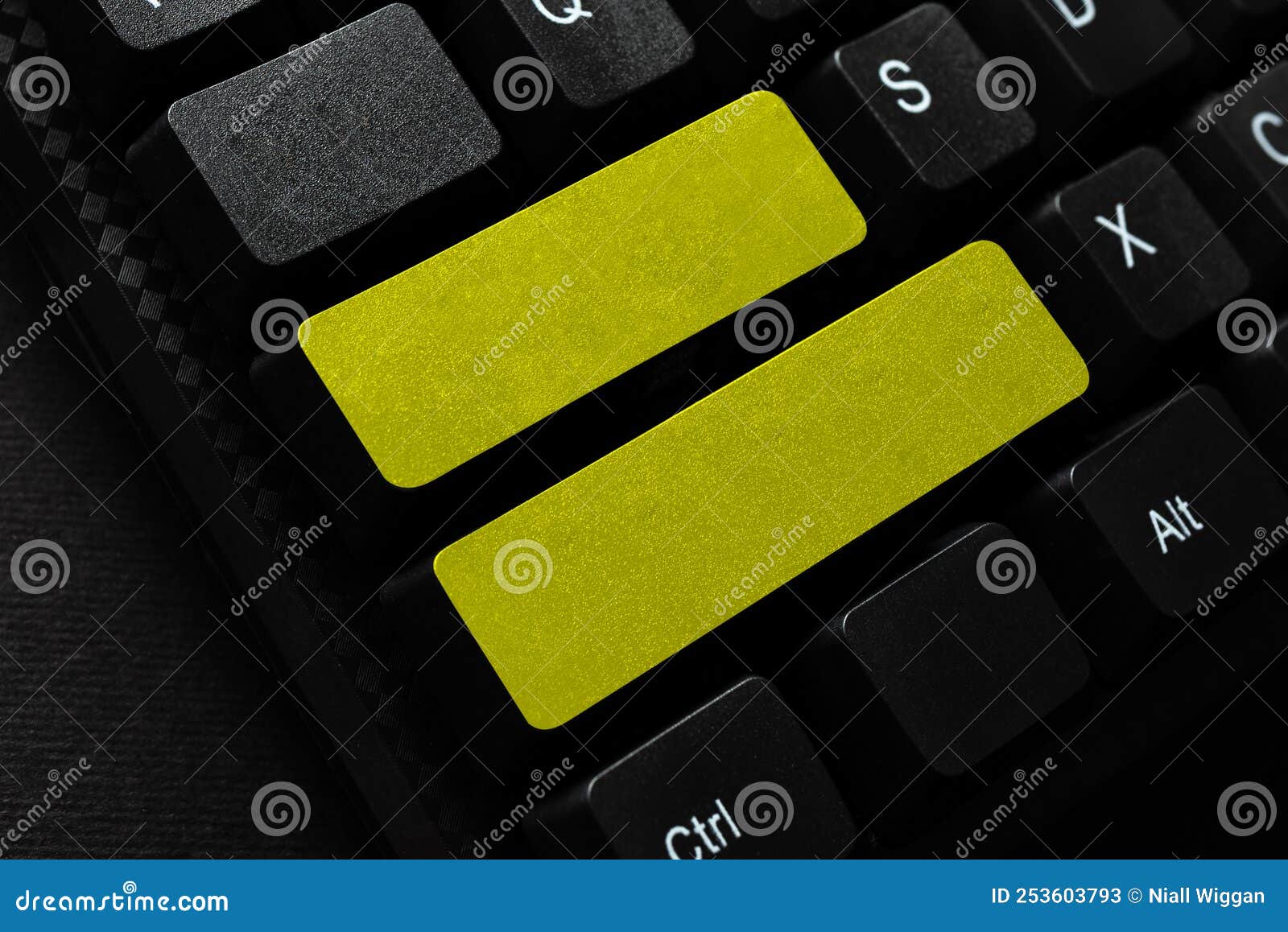 Creating New Programming Guidebook, Typing Program Source Codes ...