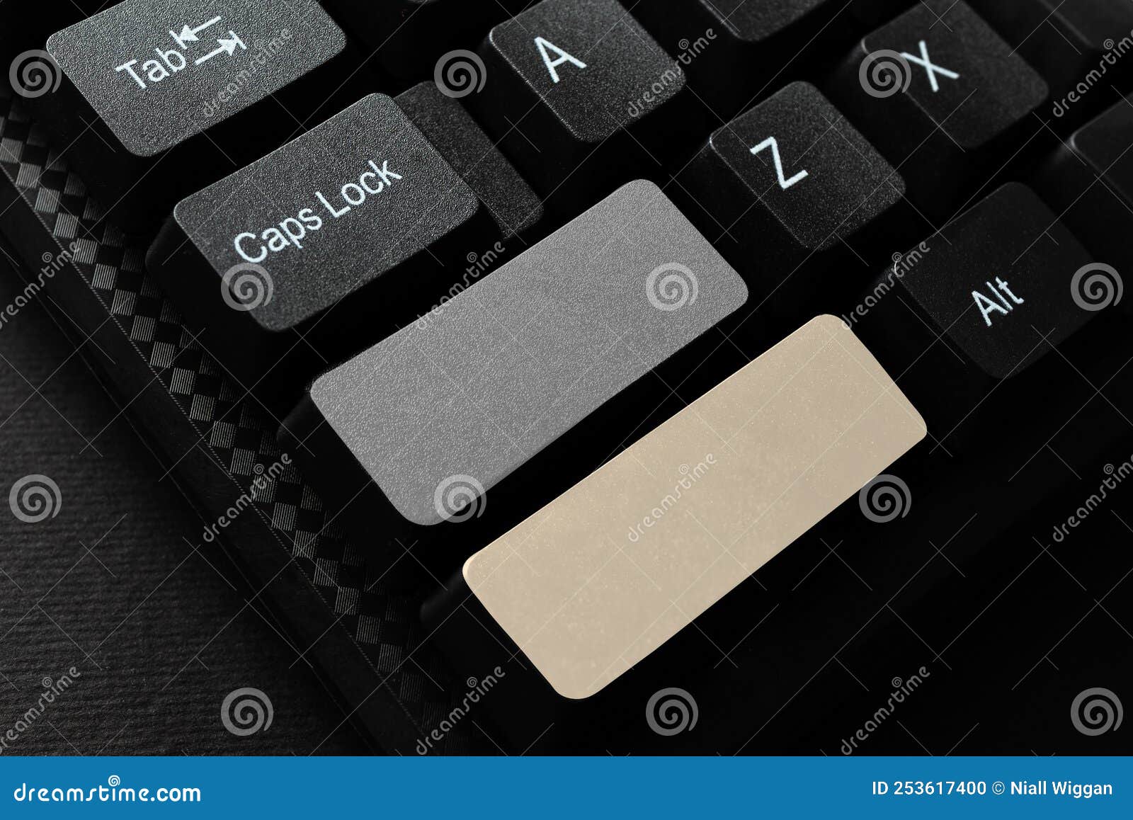 Creating New Programming Guidebook, Typing Program Source Codes ...