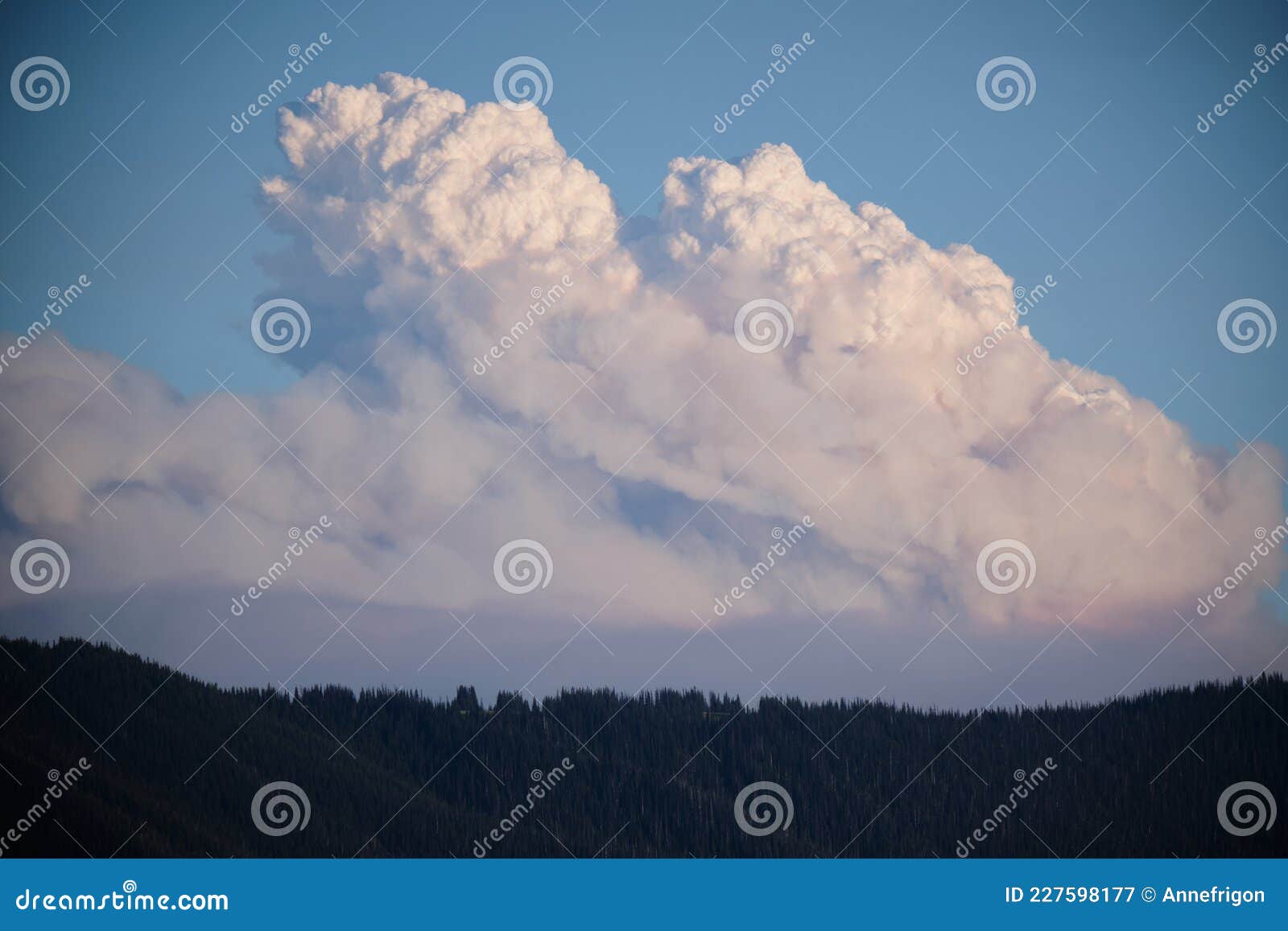 creating it`s own climate:  wildfire cumulo-nimbus cloud, manning park